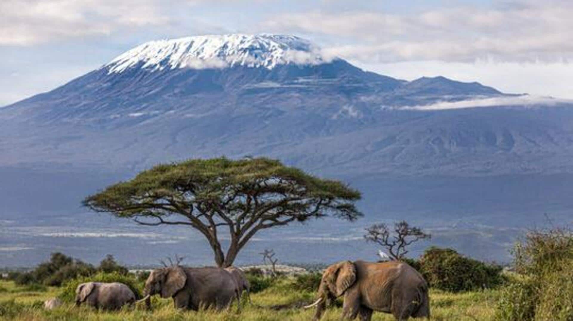 Ice climbing on Mount Kenya: Safety, tips, and more