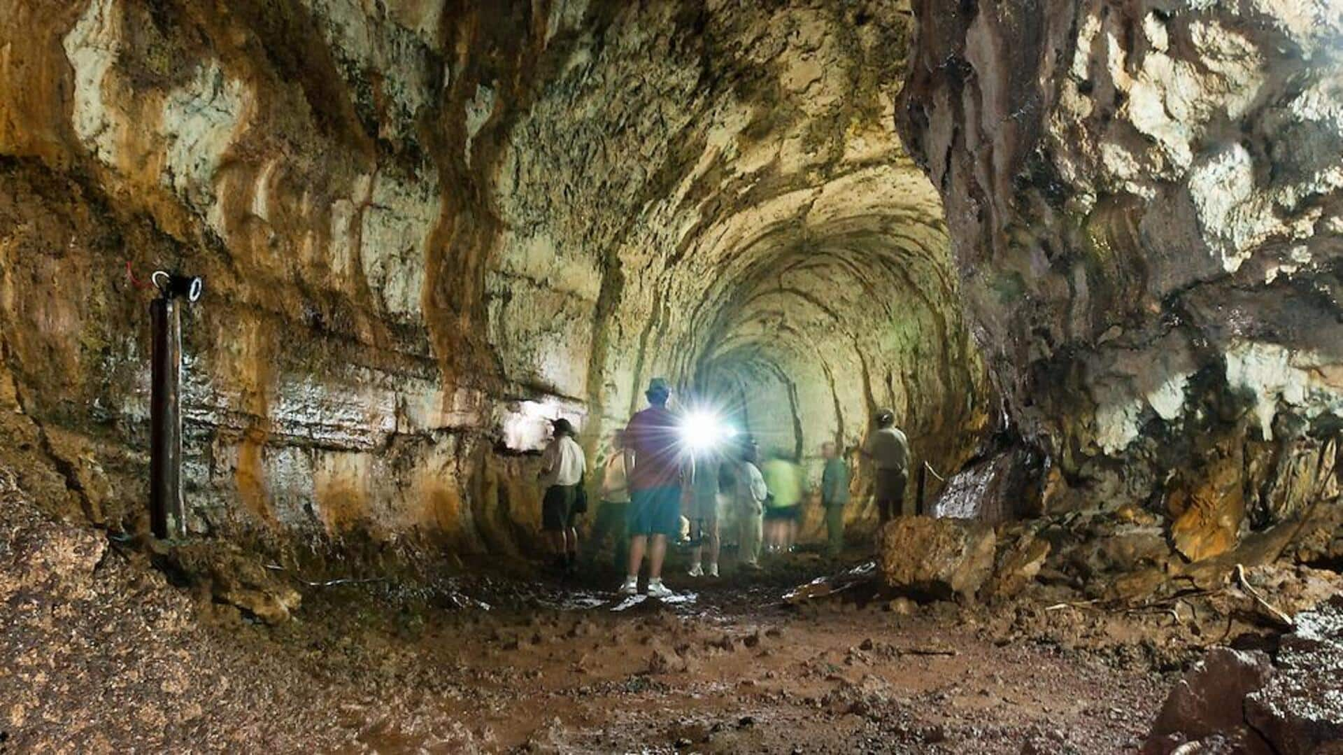 Unveiling the mysteries of Santa Cruz's lava tunnels, Galapagos