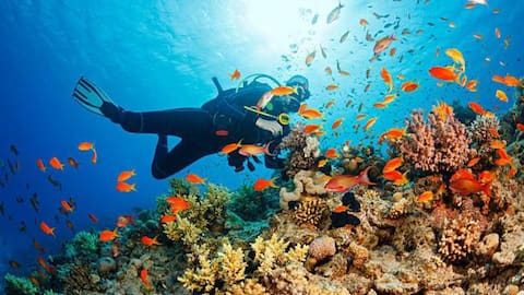 Top spots for scuba diving in Seychelles
