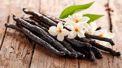 Madagascar vanilla: Why this variety stands out 