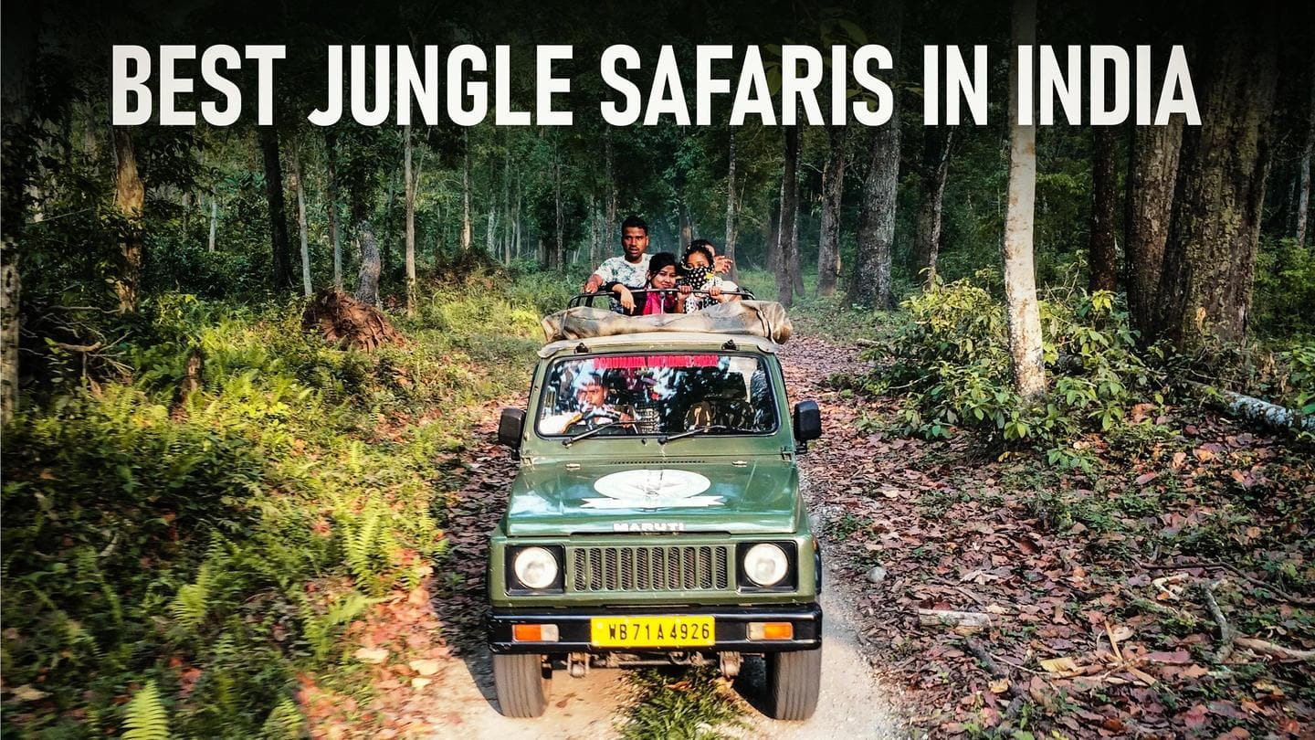 Top 5 jungle safaris in India for an exhilarating experience