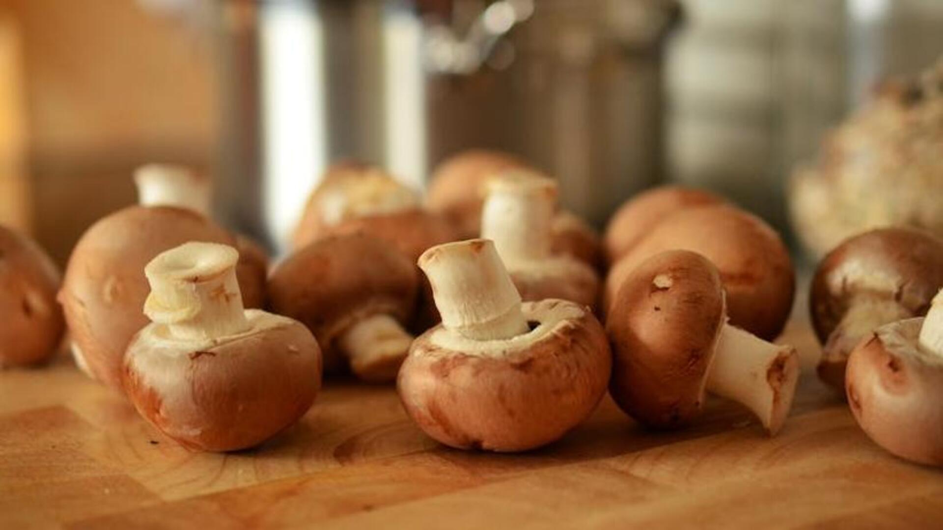5 foraged mushrooms that make your meals more flavorful 5 foraged mushrooms that make your meals more flavorful