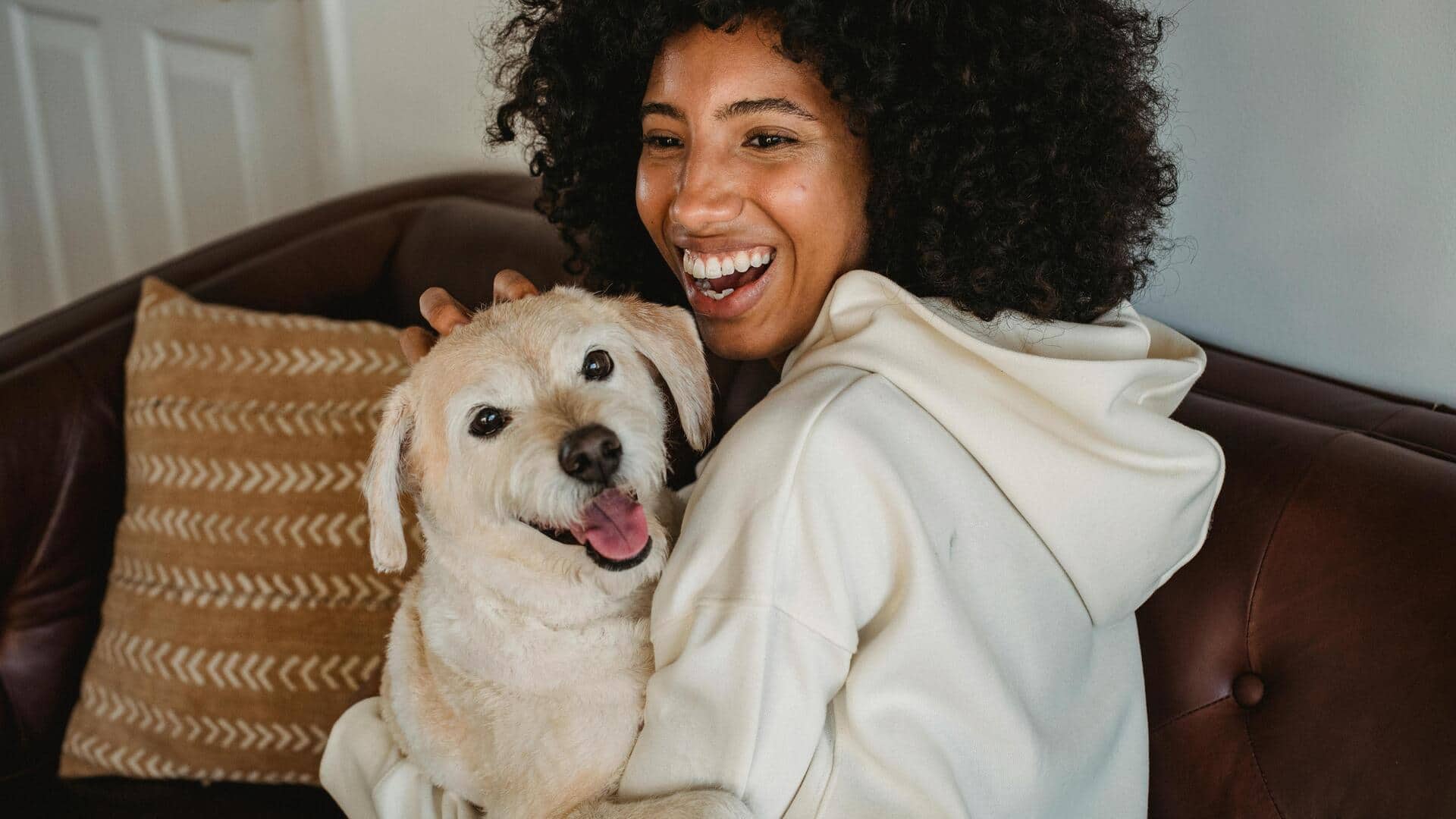 5 genius hacks for a spotless dog-friendly home 5 genius hacks for a spotless dog-friendly home