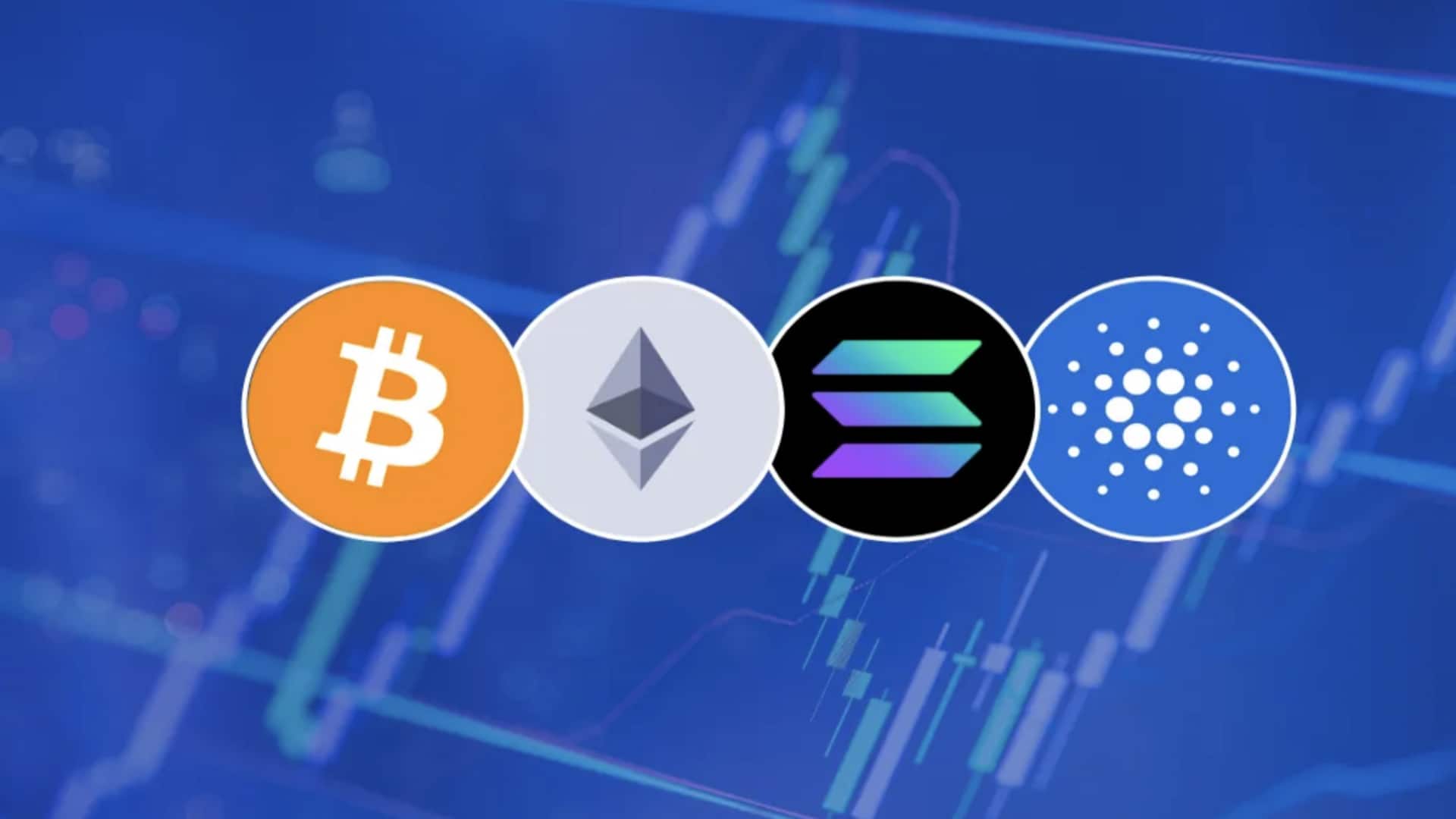 Today's cryptocurrency prices: Check rates of Bitcoin, Ethereum, Dogecoin, Solana