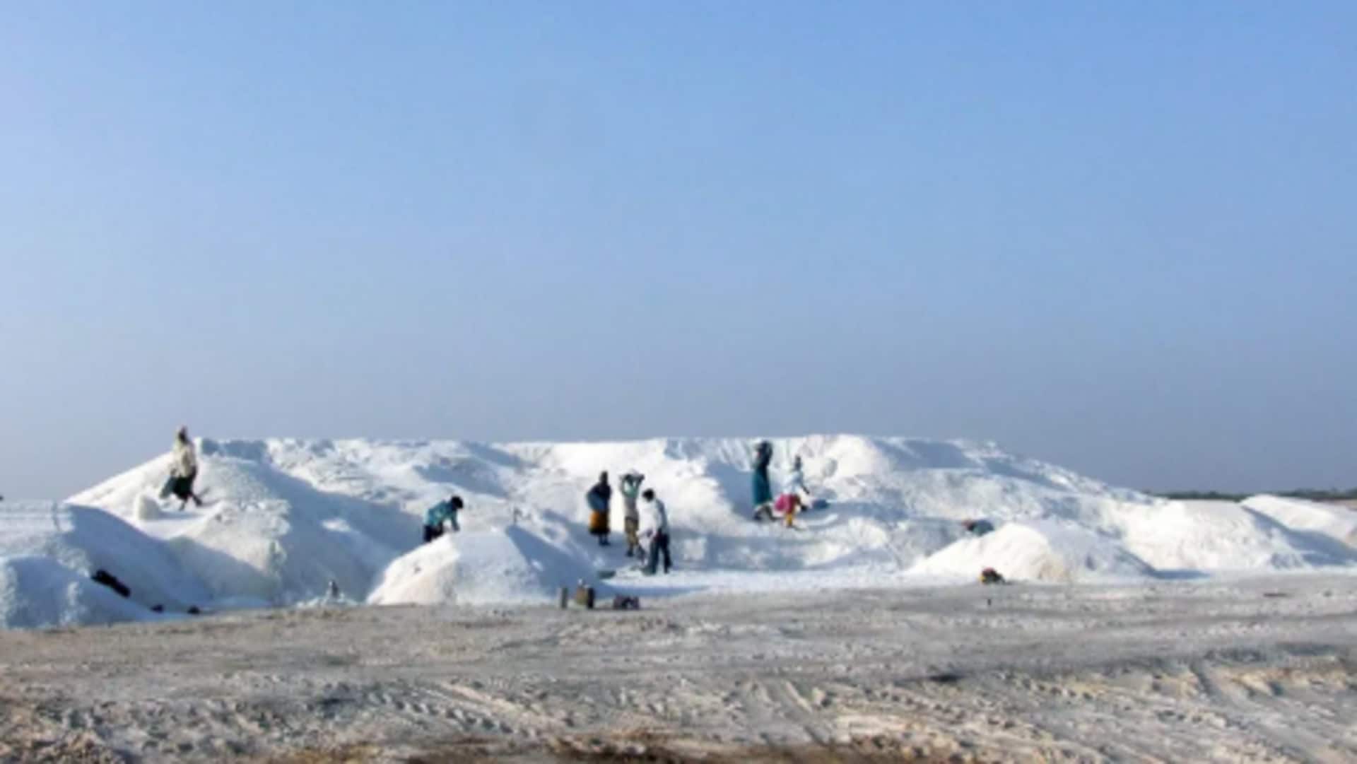 Discover Gujarat's salt flats and culture