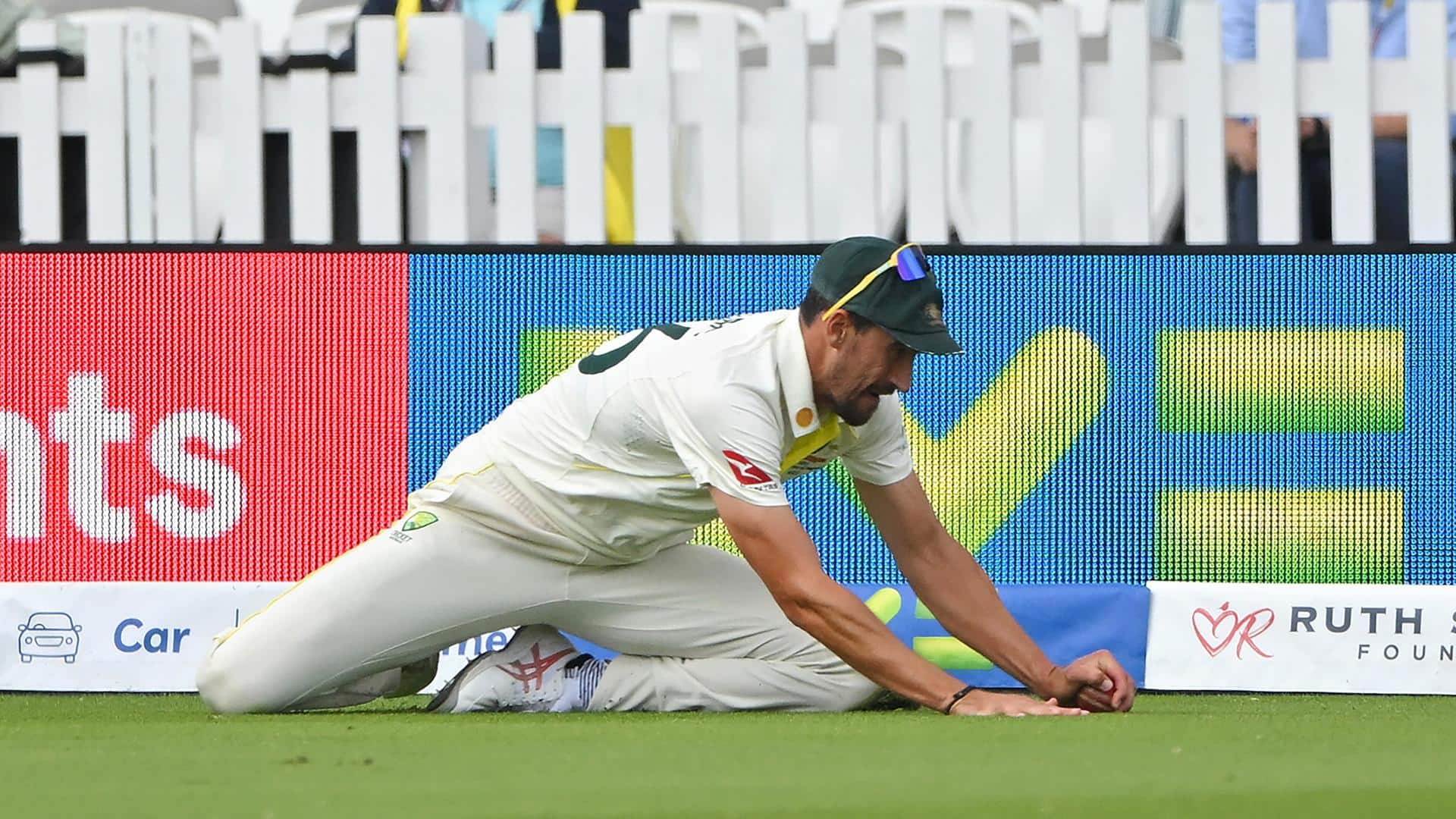 Ashes 2023: Here's why Mitchell Starc's catch was deemed unclean