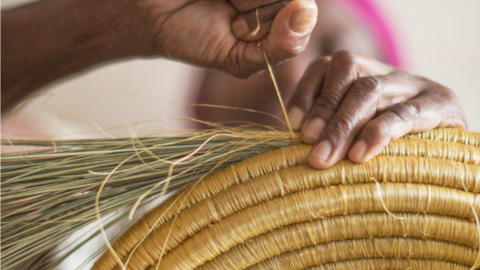 All about basket weaving