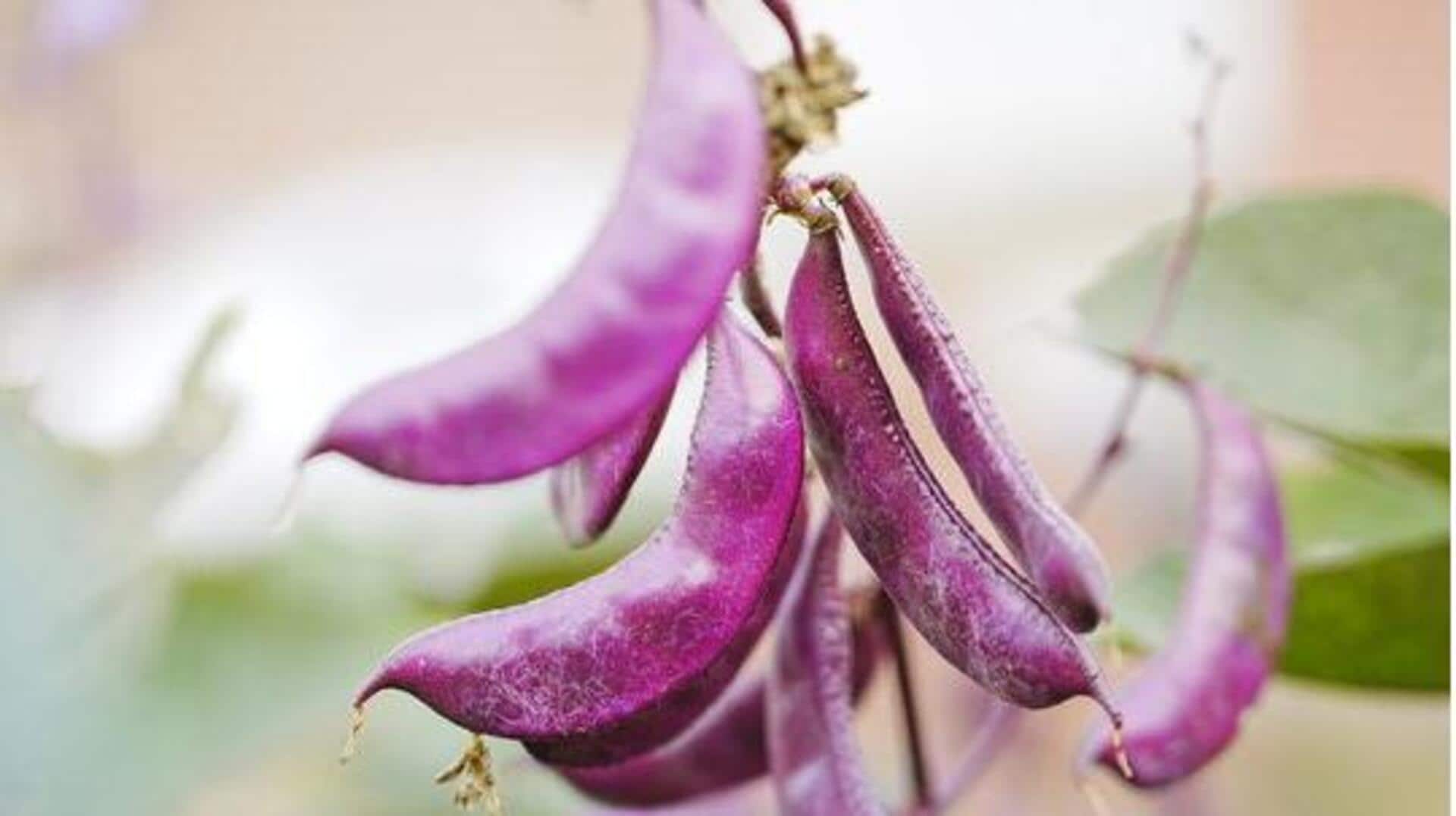 Lablab beans: A superfood you need to try