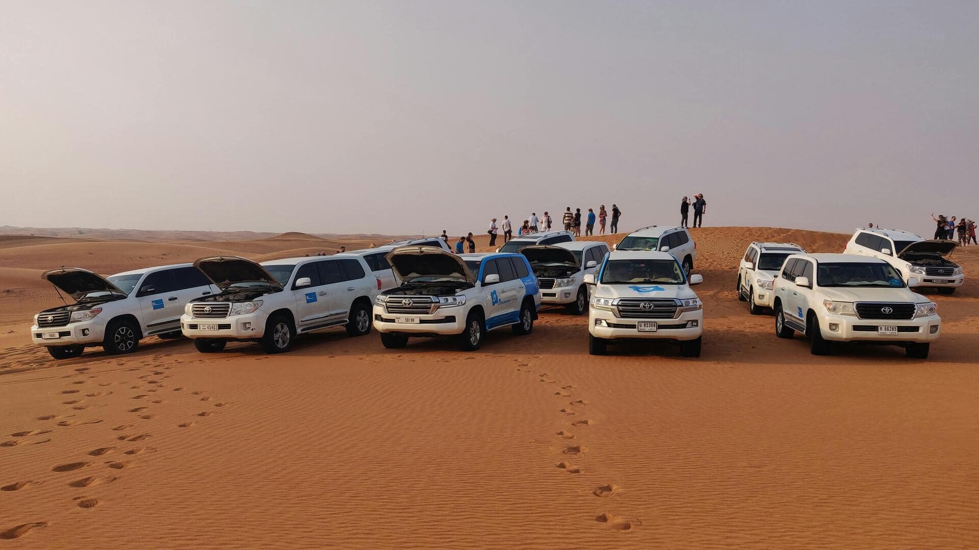5 Indian desert safaris you might want to skip