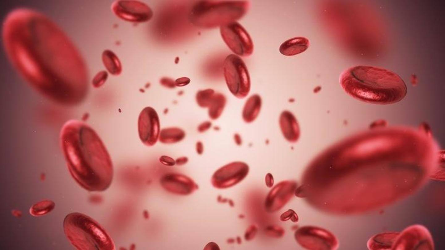 Is a rich source of iron and prevents anemia Is a rich source of iron and prevents anemia