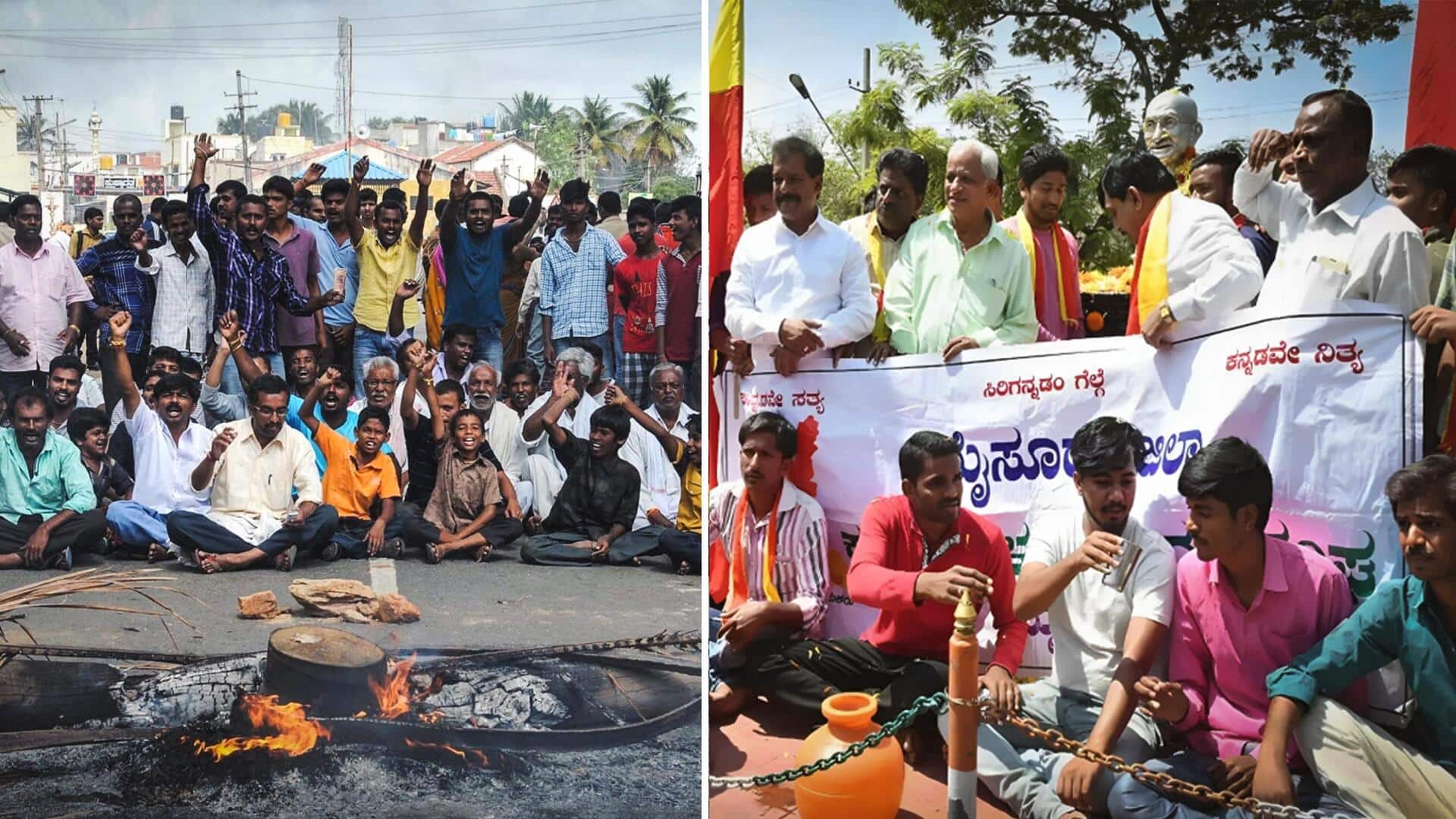 Cauvery row: Farmers, pro-Kannada outfits stage protest in Karnataka's Mandya