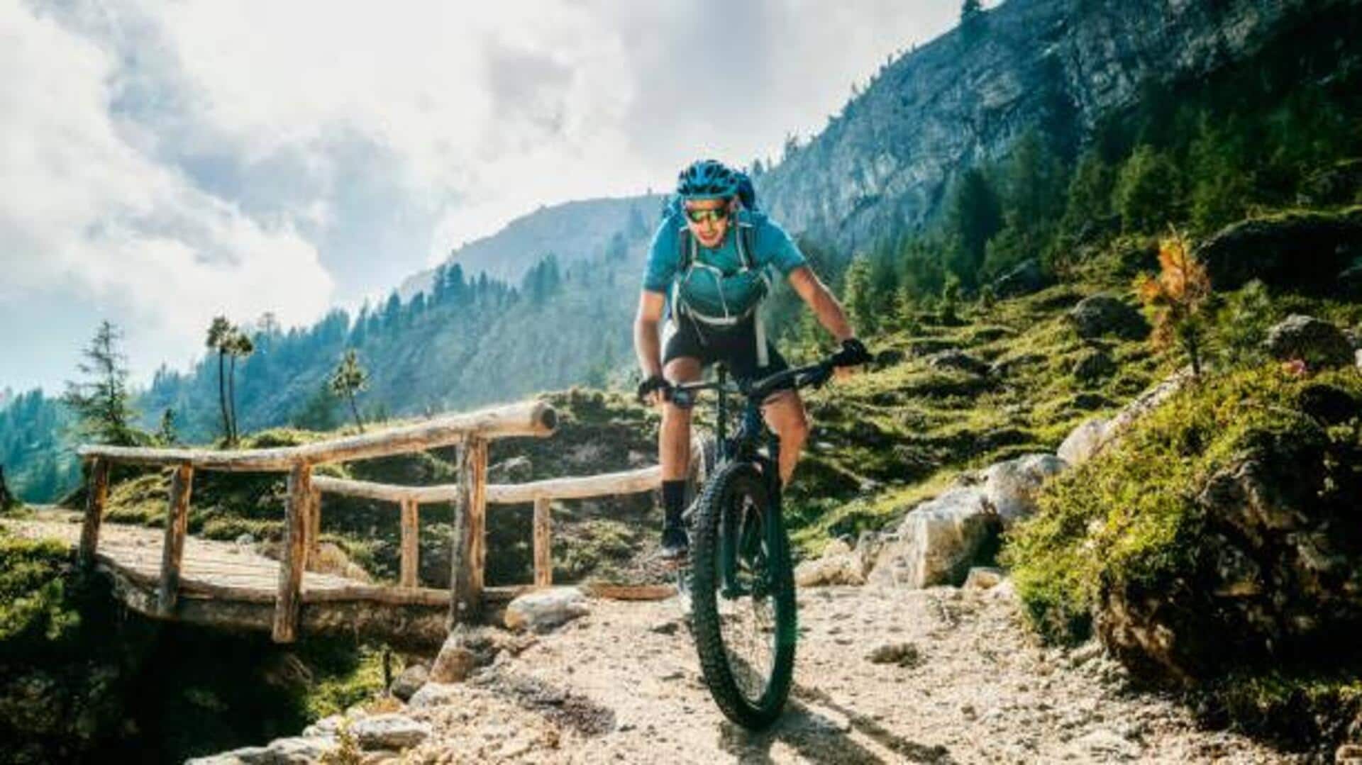 Mountain-biking through alpine trails: A guide 
