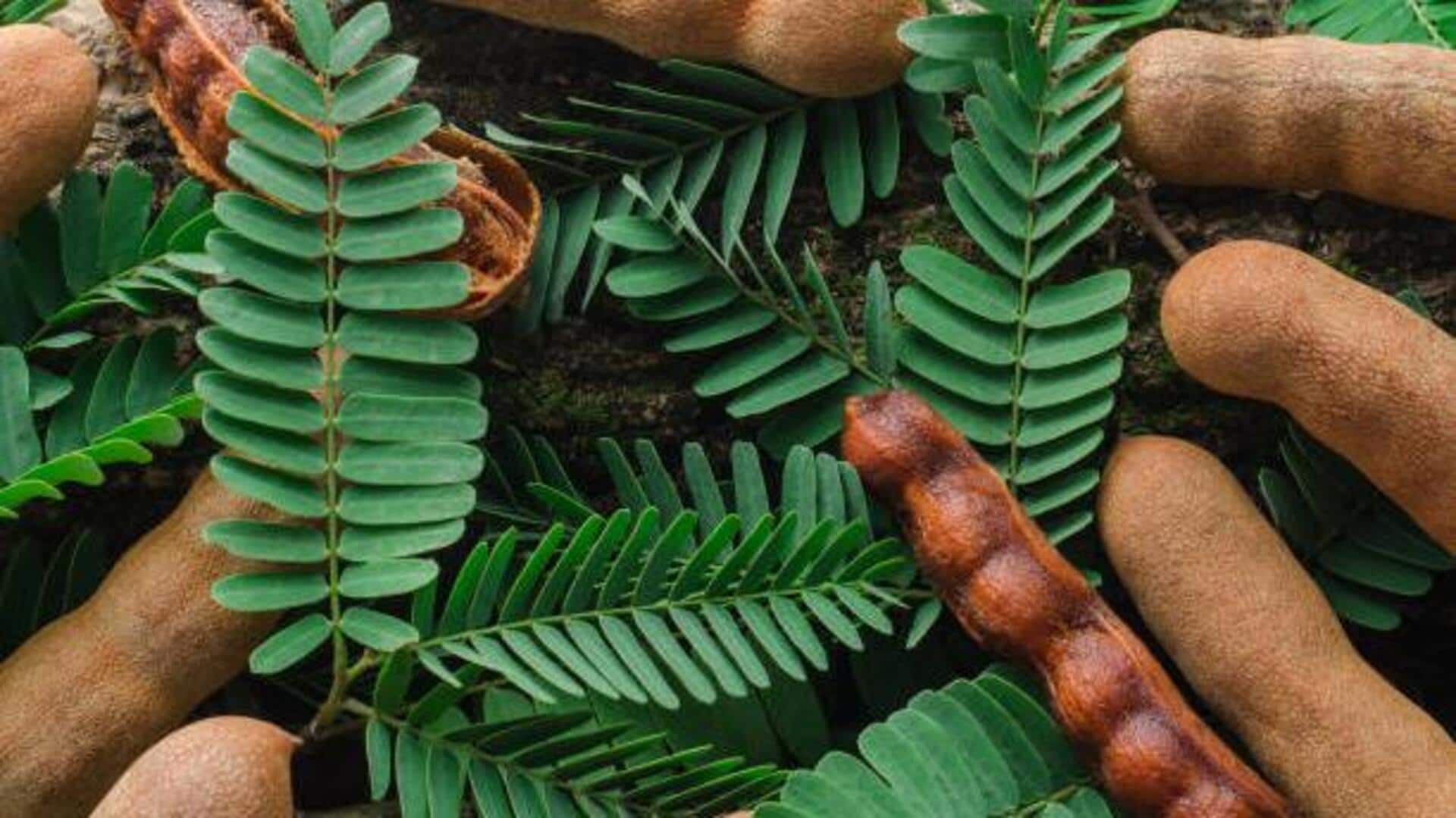 How to use tamarind leaves for better health