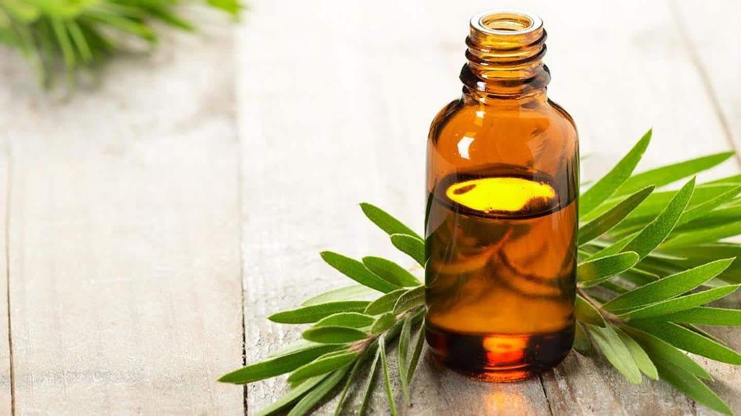 Benefits of tea tree oil, the traditional medicine of Aborigines
