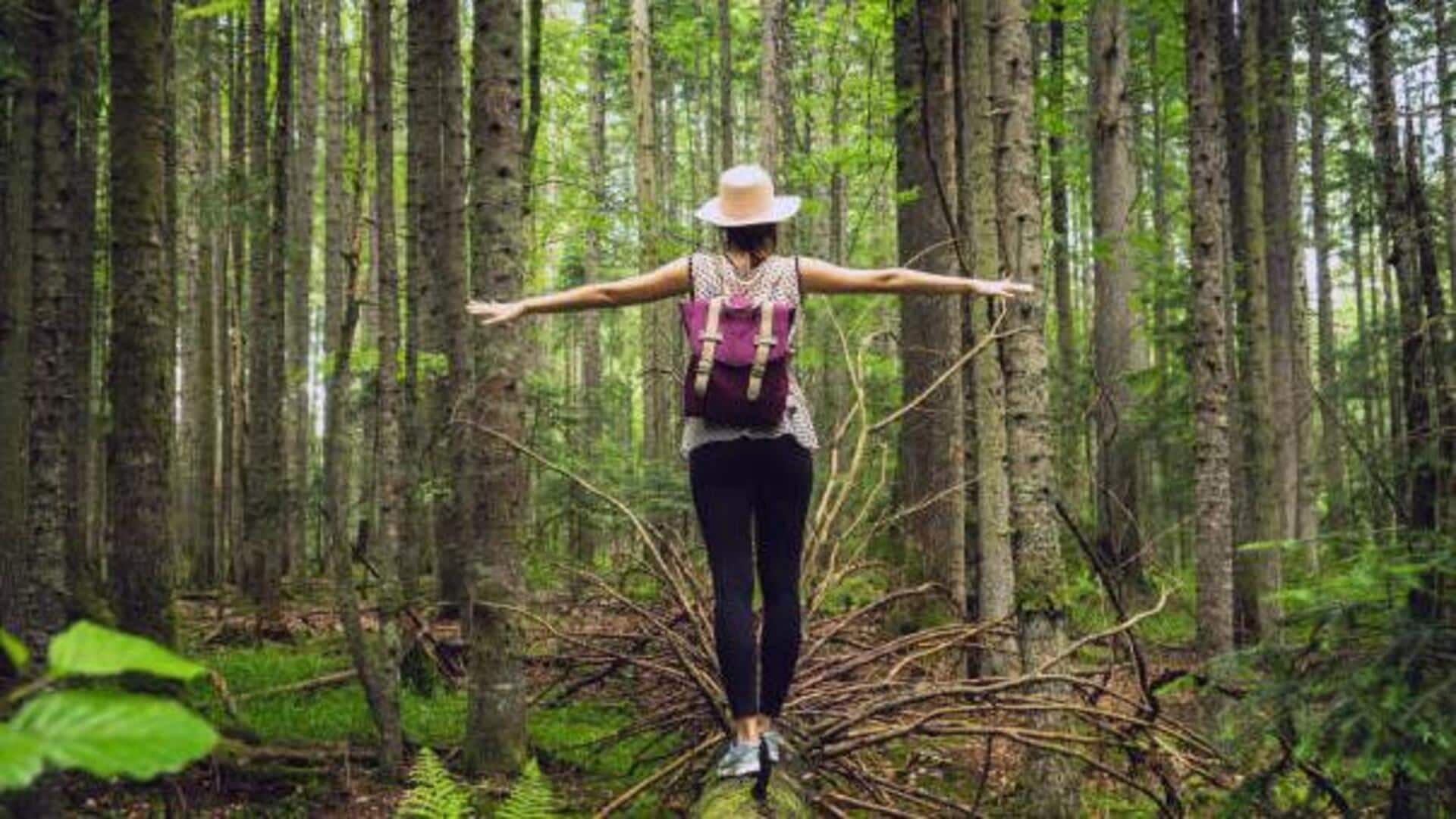 Embrace nature with forest bathing