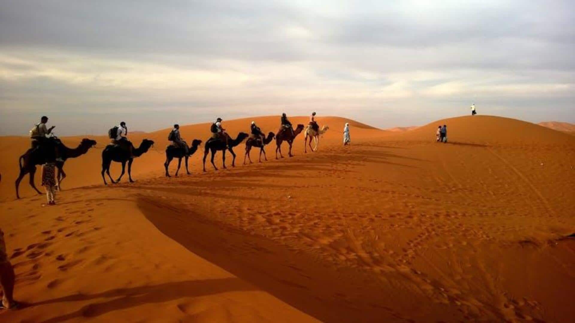 How to explore the Gobi Desert on camelback