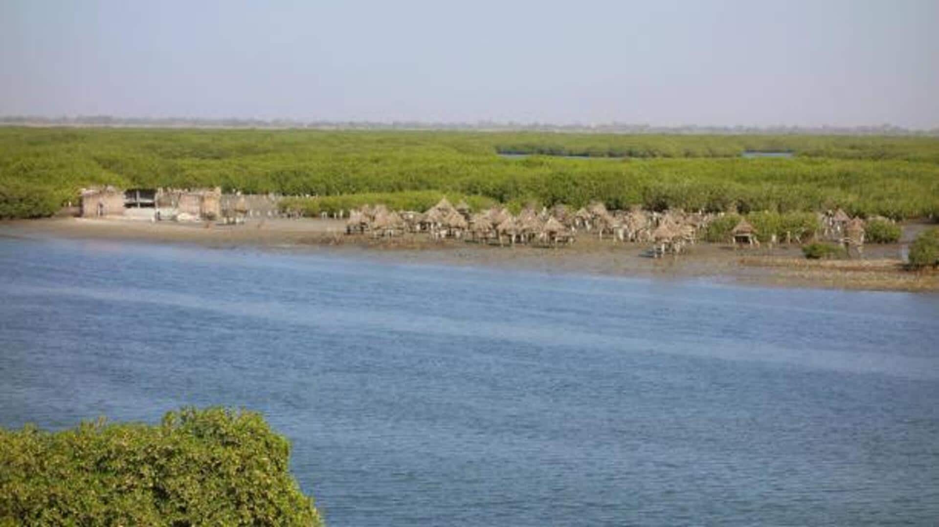 You must explore these marine reserves in Senegal You must explore these marine reserves in Senegal