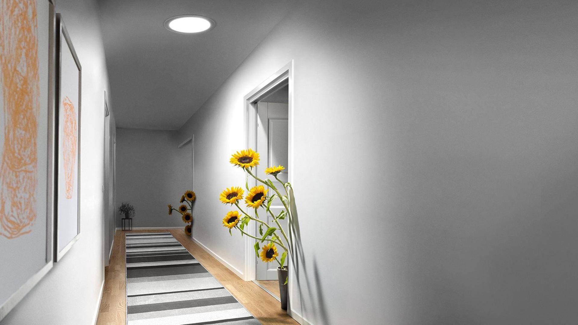 Sun tunnels: Lighting up darkest corners of your home naturally