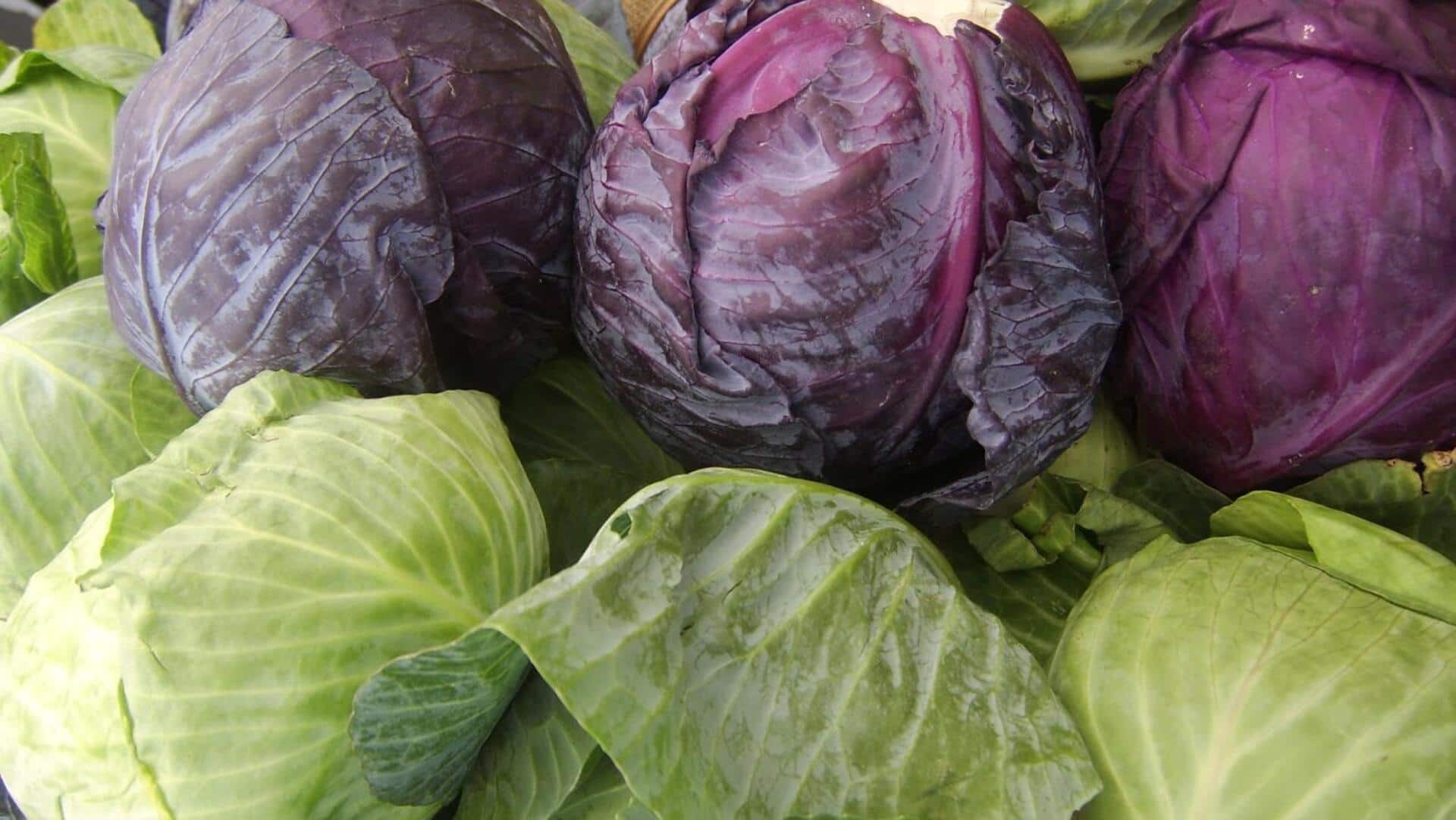 Red cabbage v/s green cabbage: Decoding their  nutritional differences 