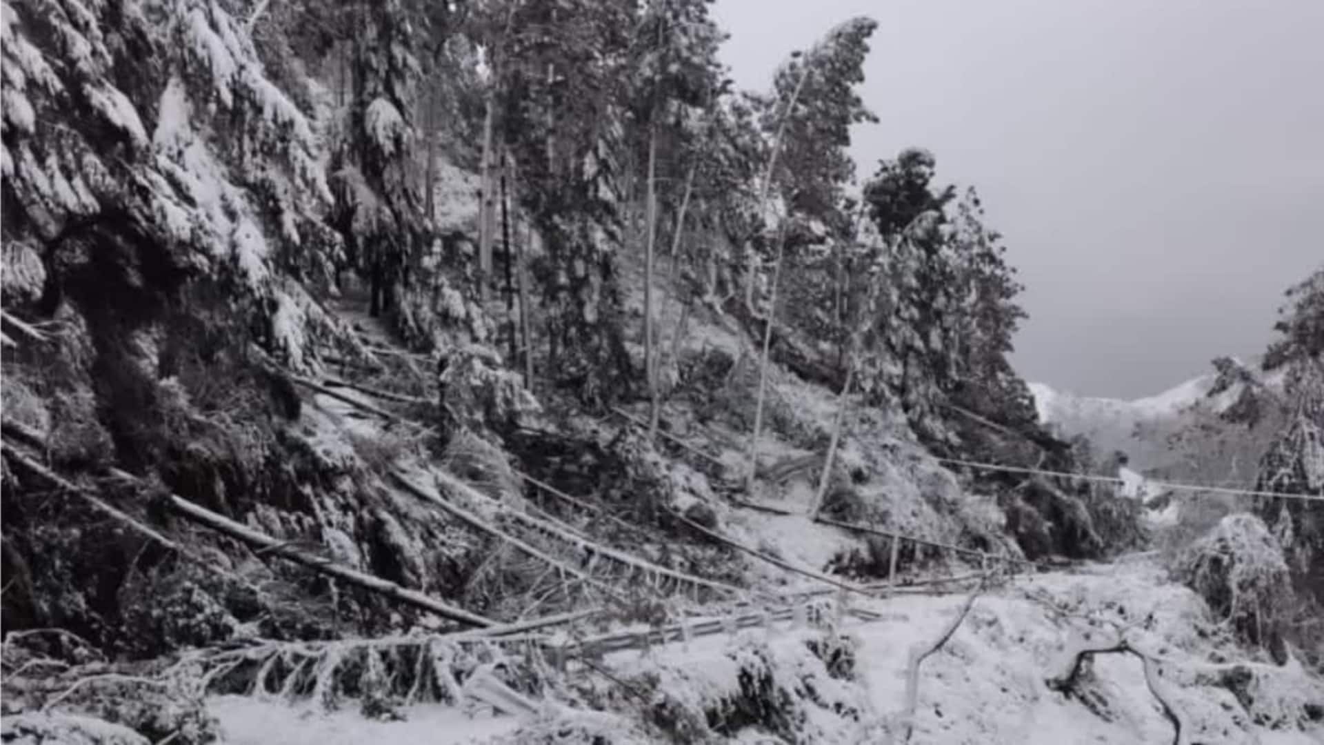 Western disturbance triggers avalanche alert in Uttarakhand