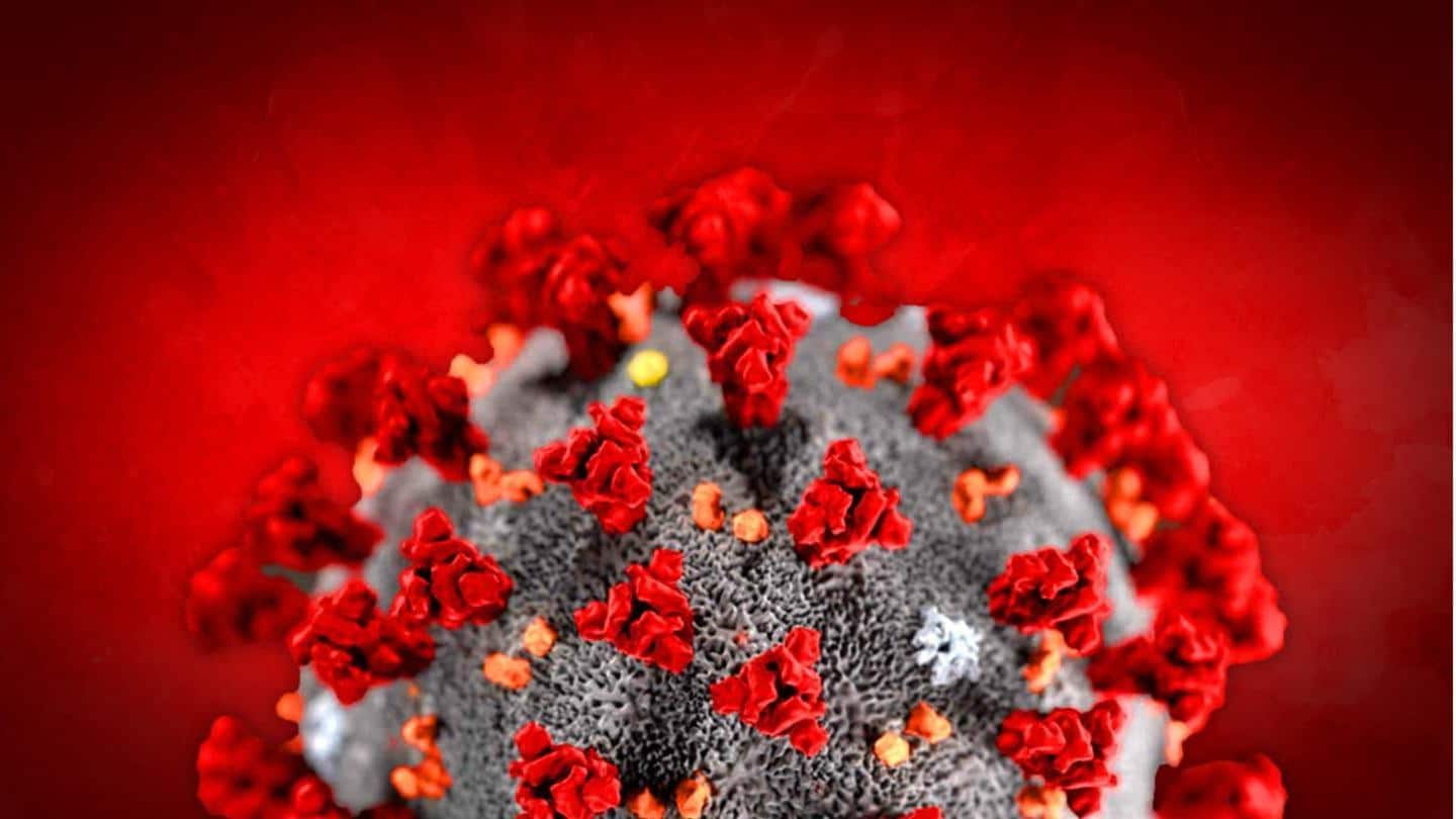 India reports 8K+ new infections; 236 deaths India reports 8K+ new infections; 236 deaths