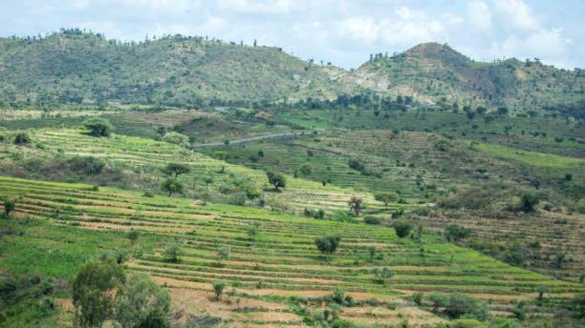 Exploring the Konso Terraces: Ethiopia's agricultural marvel 