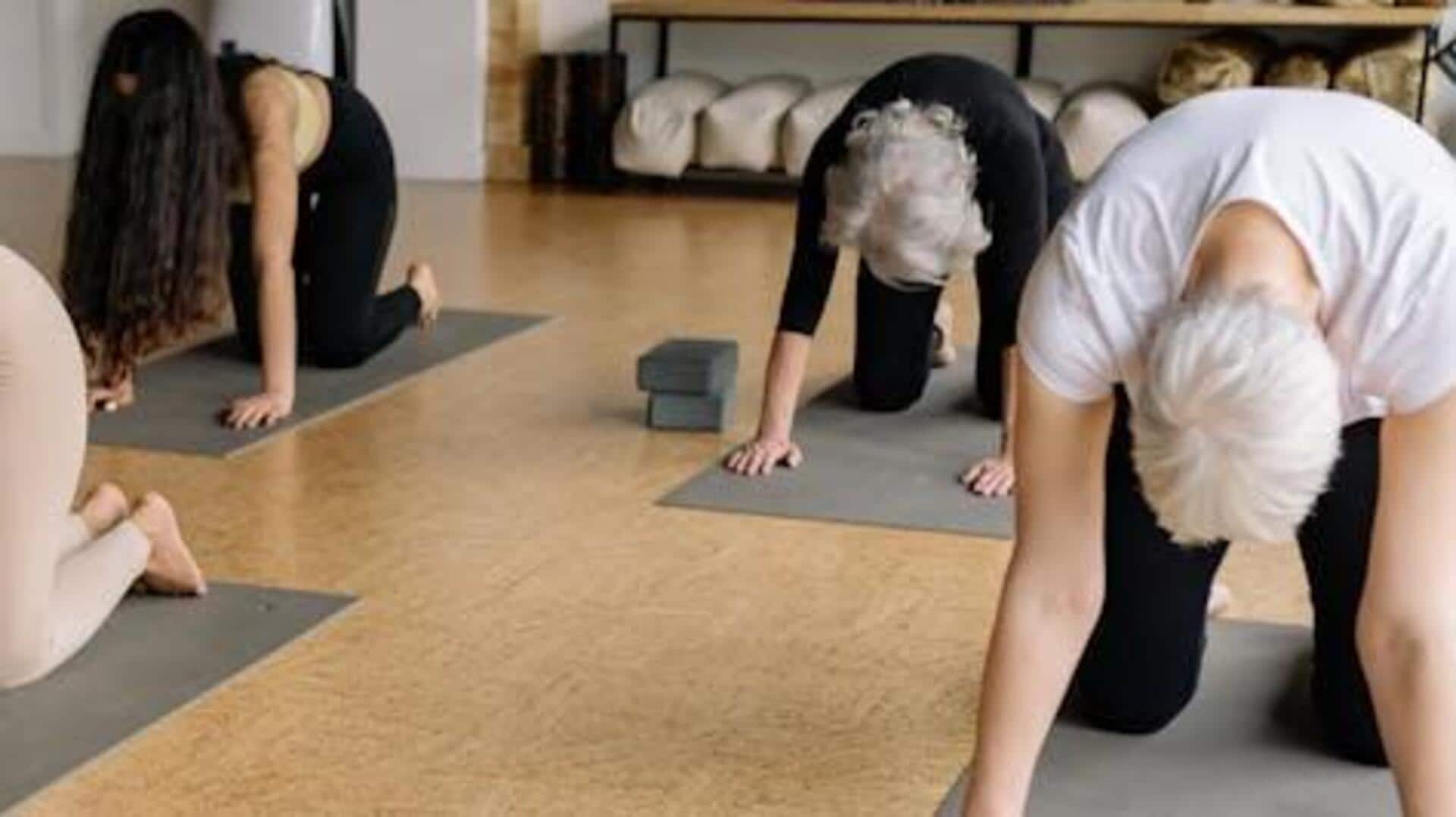 5 cat stretches that help you release tension