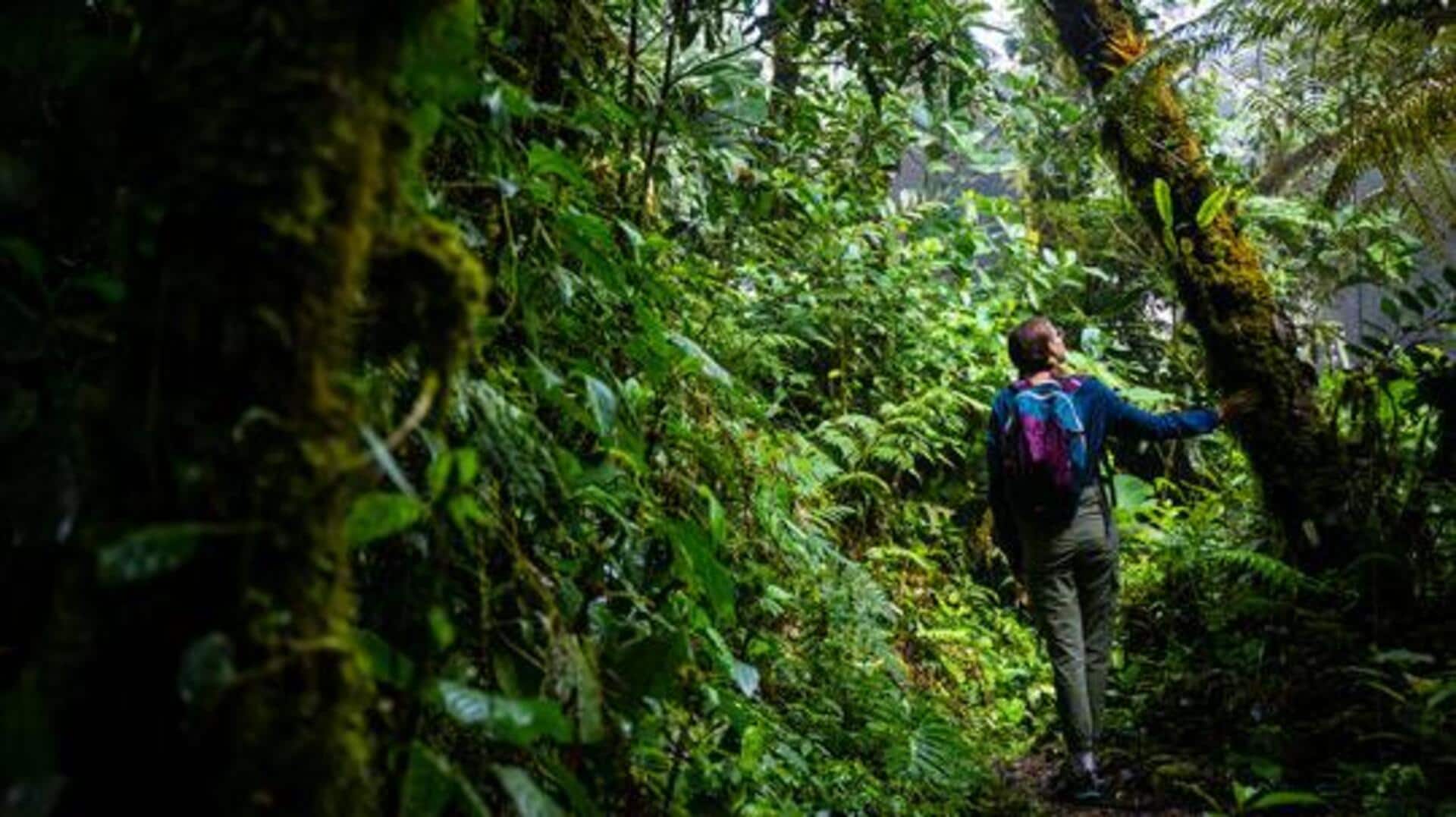 Where to go for jungle trekking: Top spots Where to go for jungle trekking: Top spots