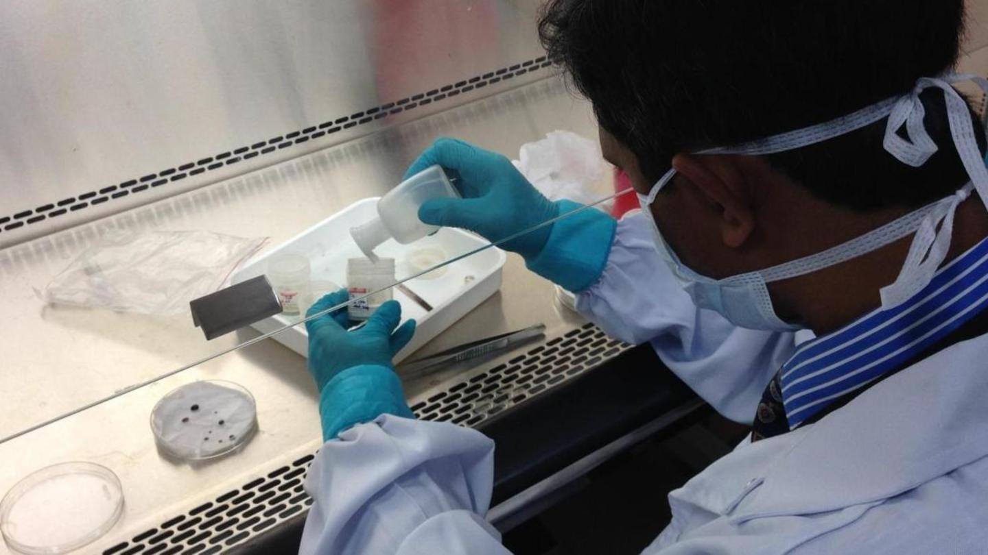 Indian scientists had already shown SARS-CoV-2 virus was man-made Indian scientists had already shown SARS-CoV-2 virus was man-made