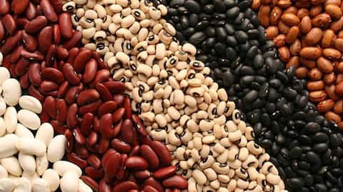 These beans can make your dishes extra nutritious 