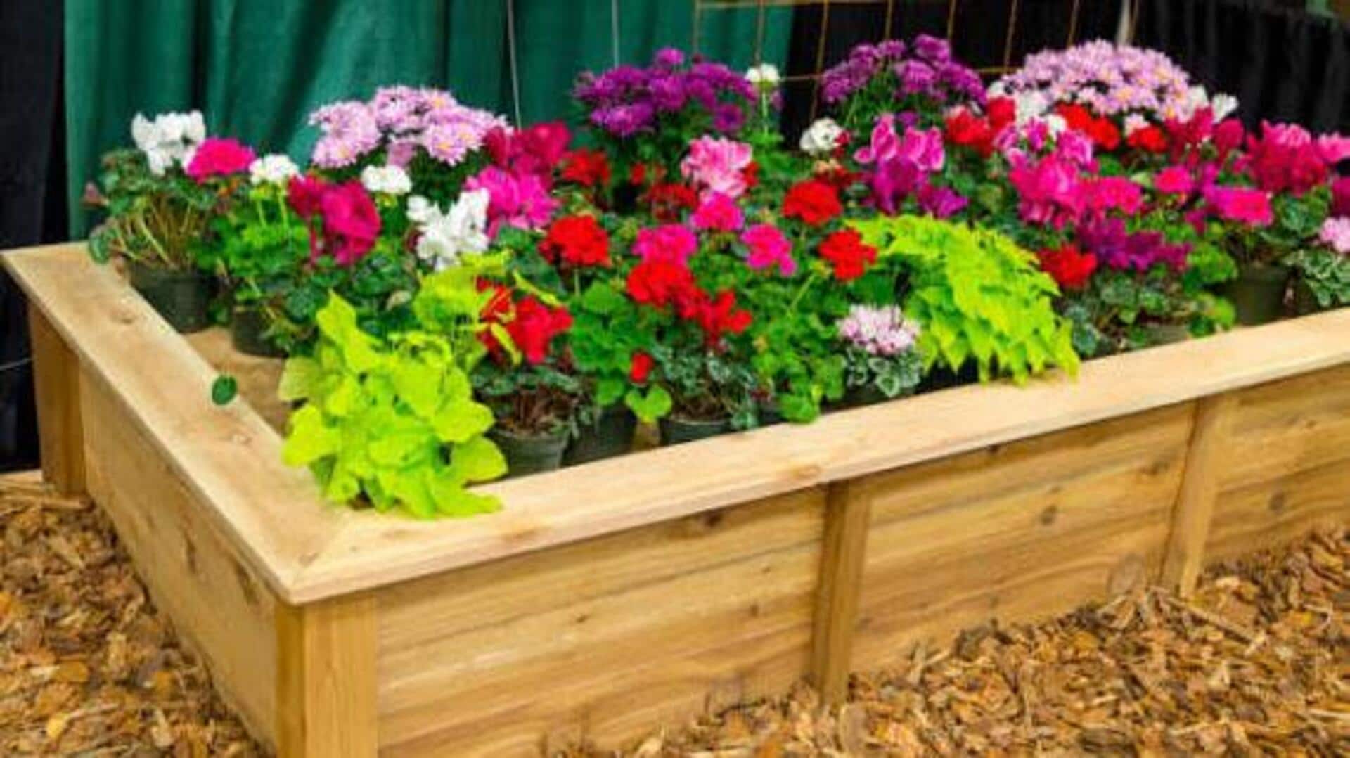 How to turn old wooden boxes into plant pots
