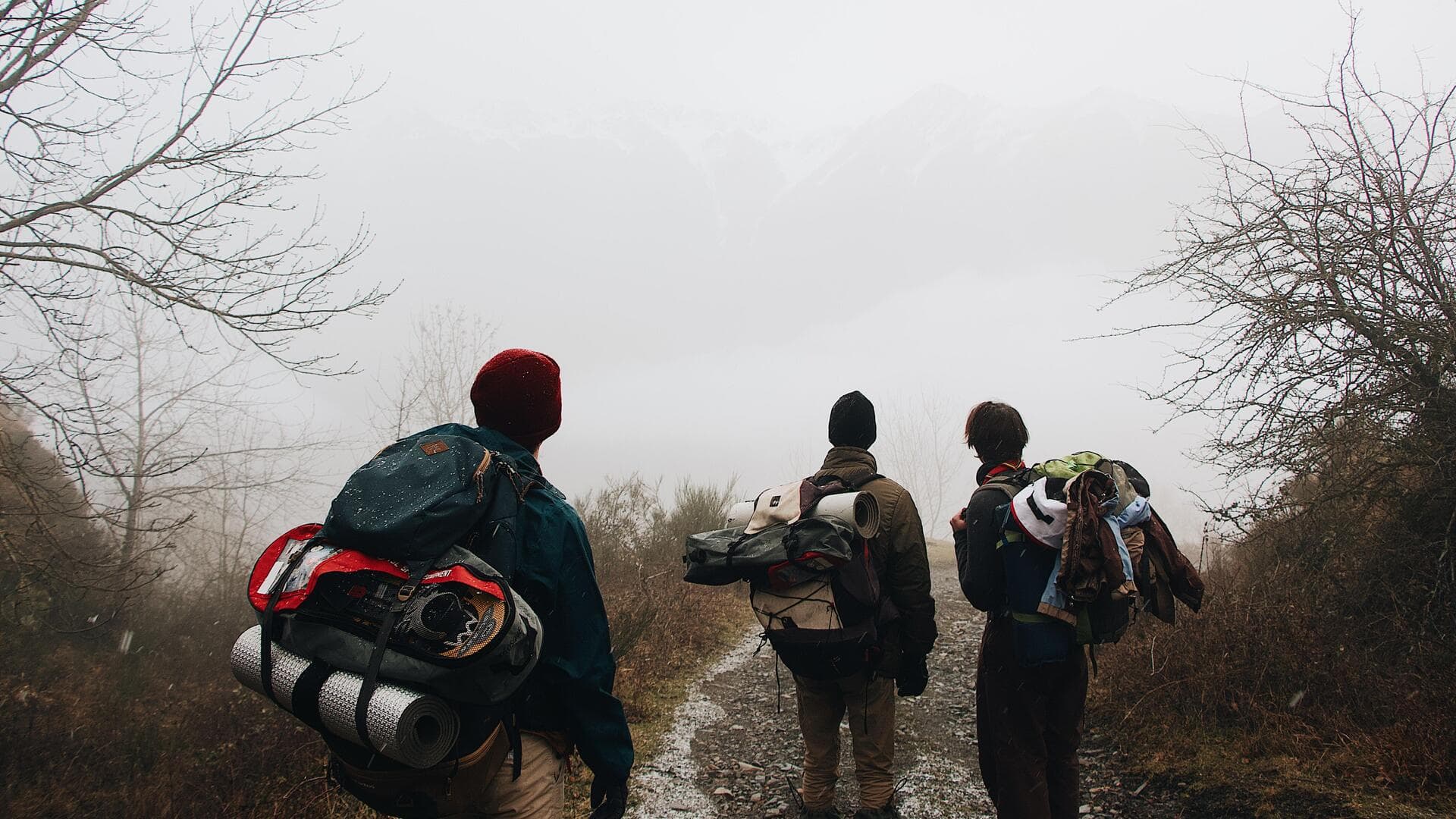 Hiking or paddleboarding: Which outdoor activity is right for you?