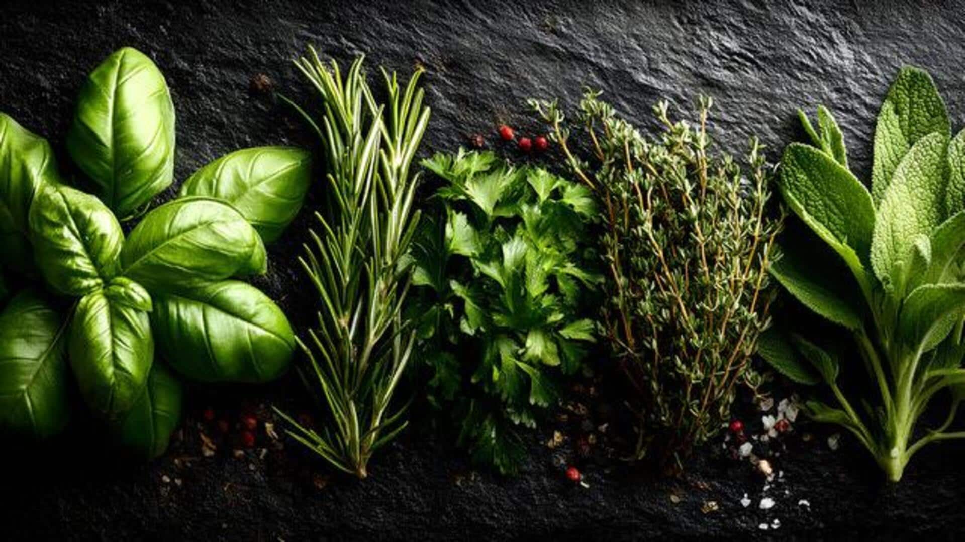 5 herbs that define Mexican vegetarian cuisine