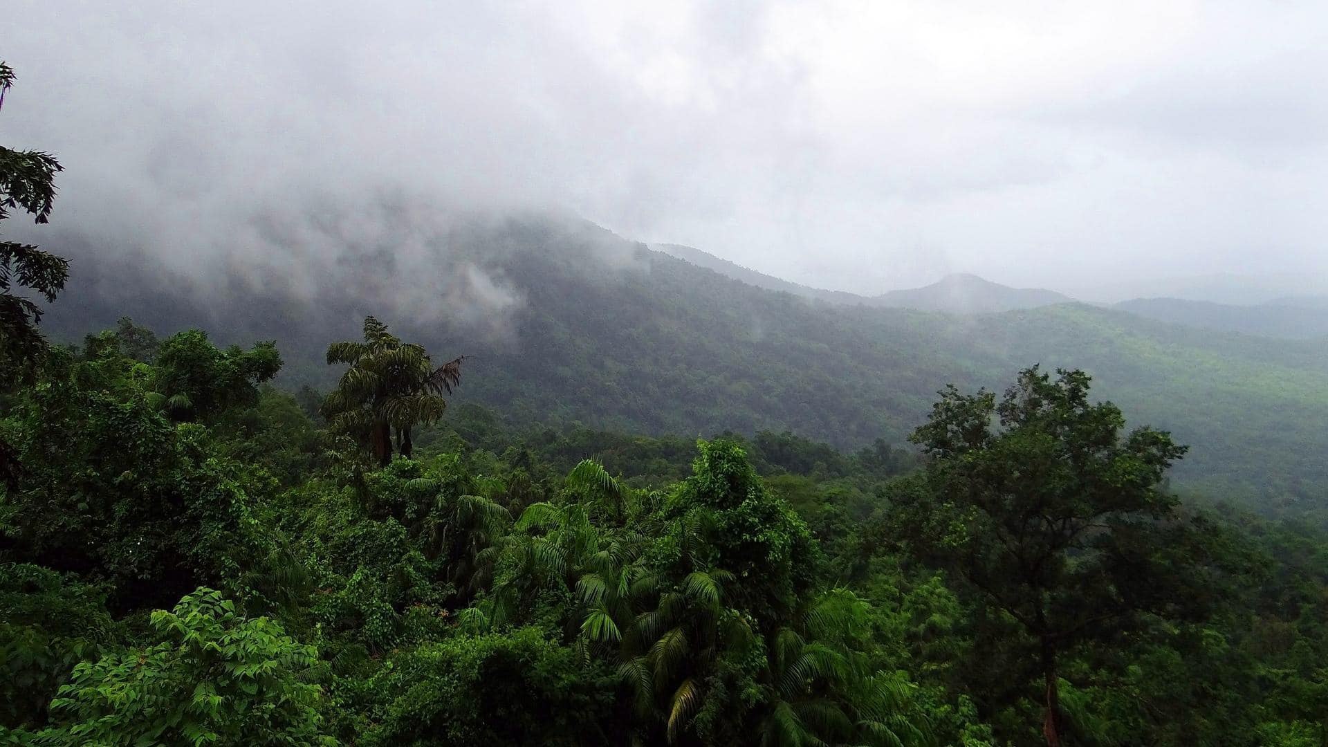 Why Ecuador's cloud forests are a must-see 