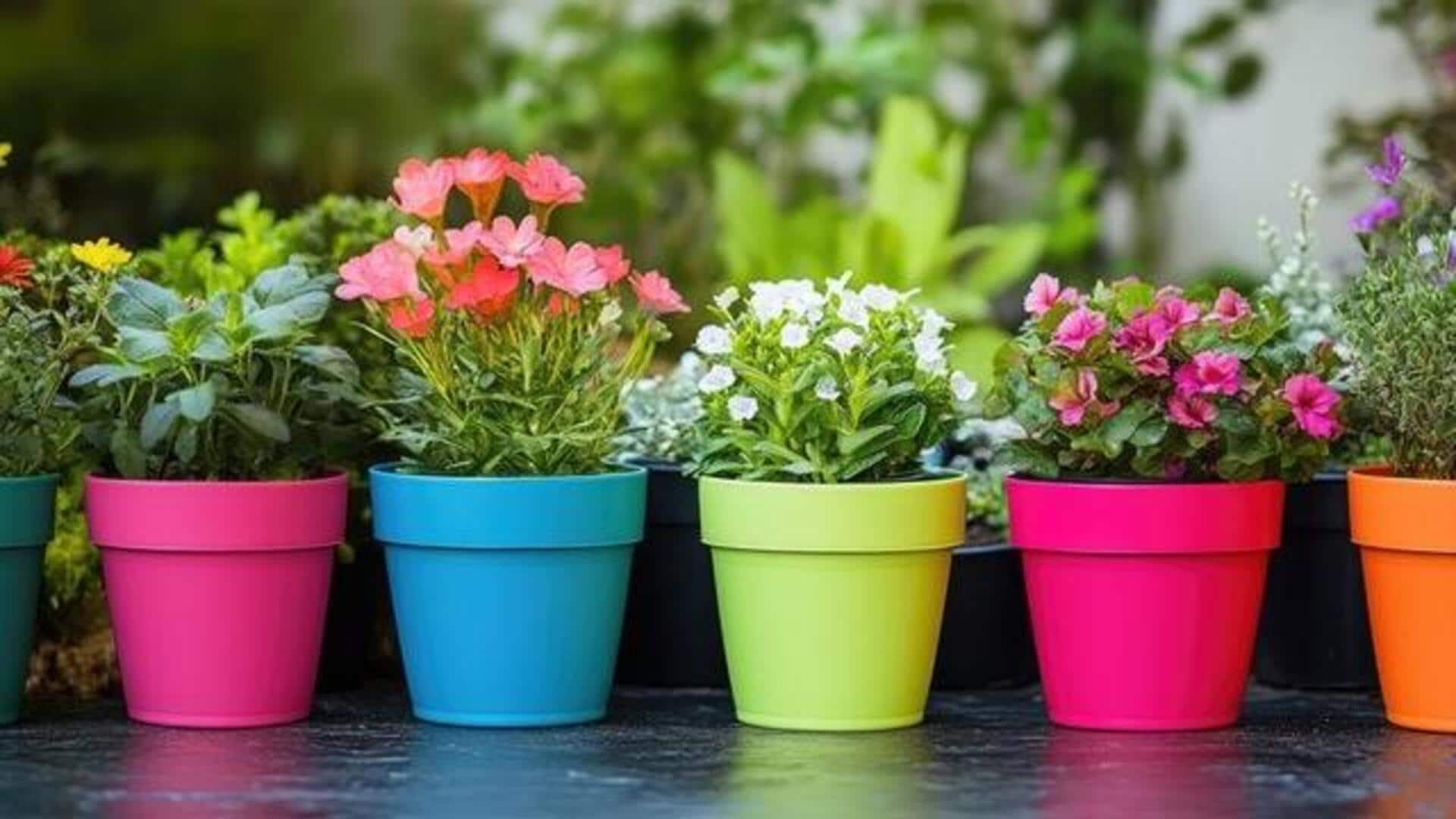 How to create lightweight plant pots for your garden 