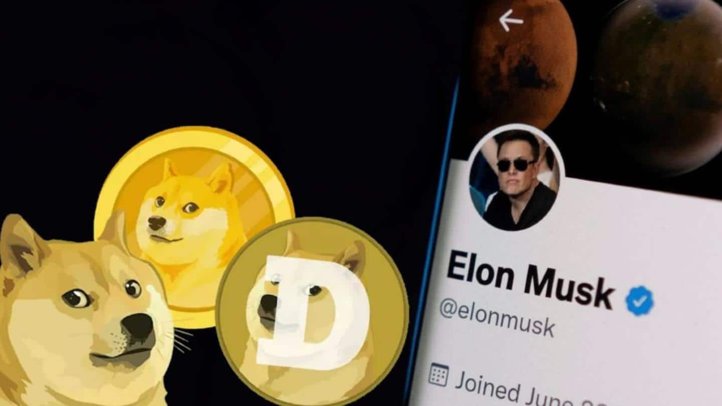 Dogecoin investor sues Elon Musk, Tesla, SpaceX for $258 billion