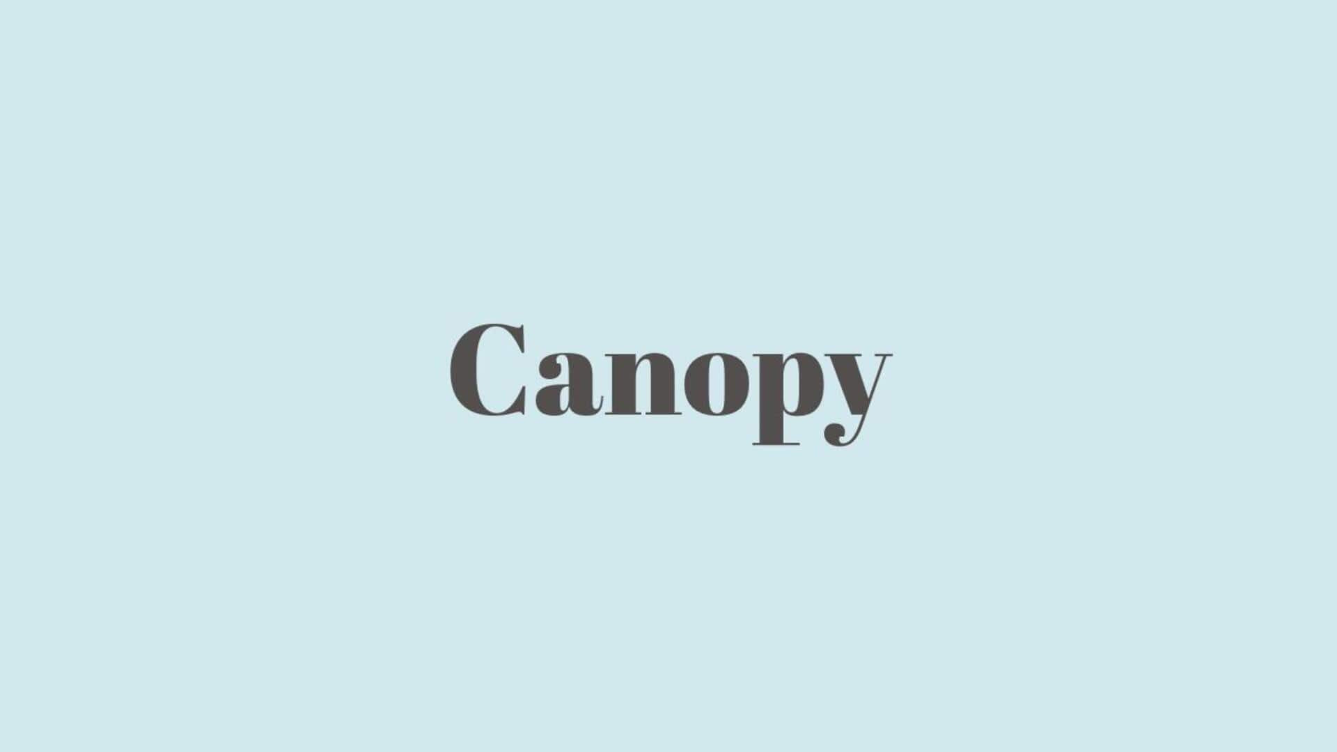 Word of the Day: Canopy