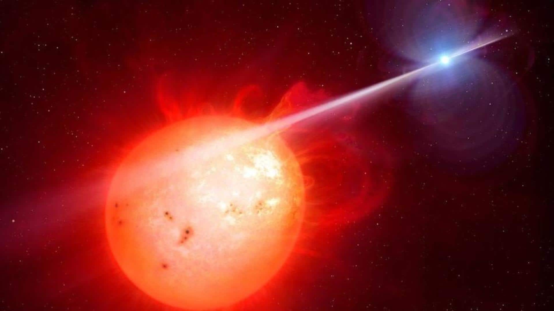 Discovery of second-ever white dwarf pulsar explains how stars evolve