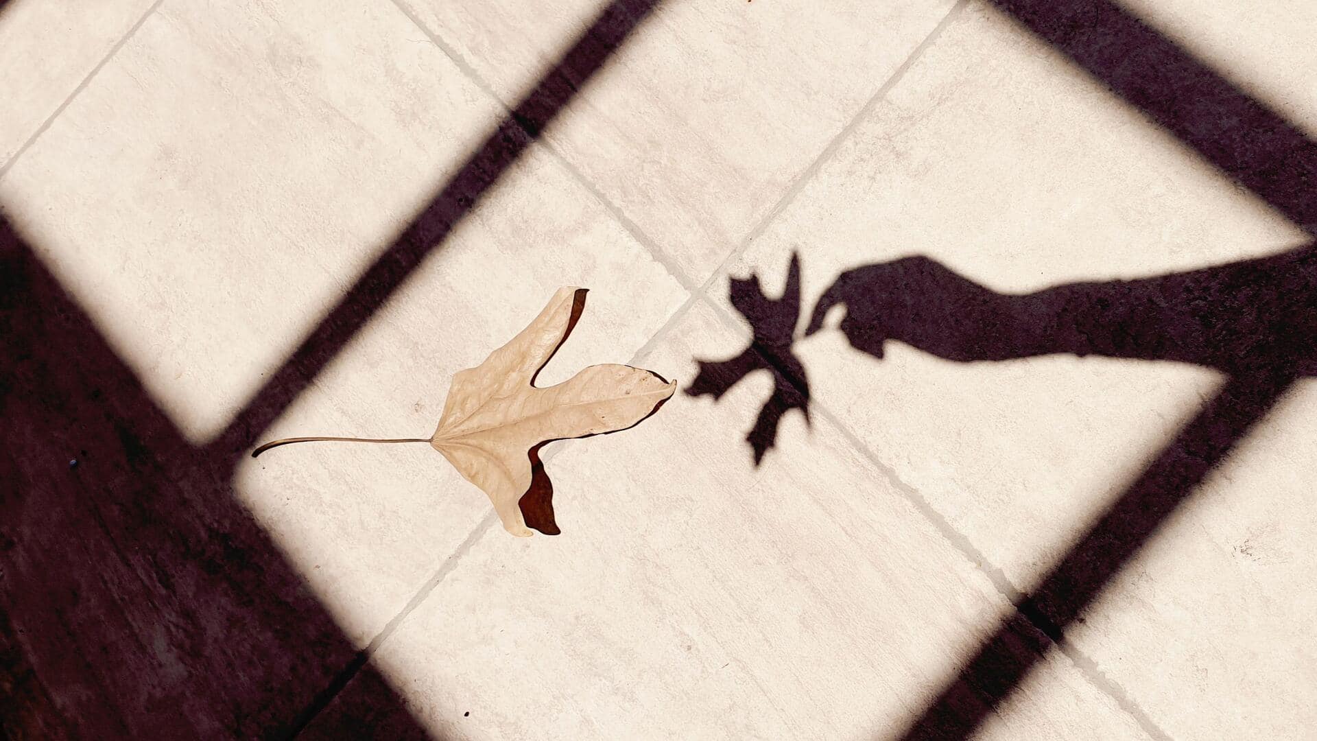 Shadow tracing: The simple art trick that boosts creativity