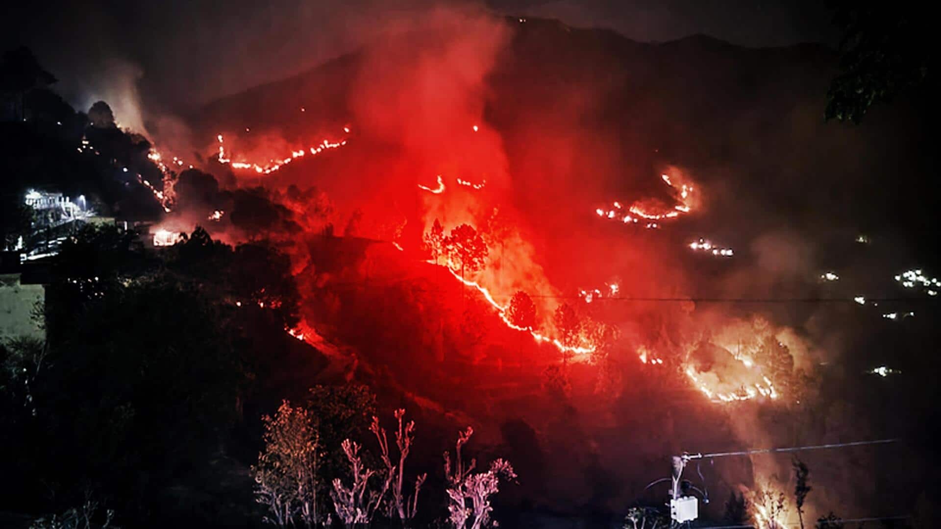 Why Uttarakhand forests are on fire this season