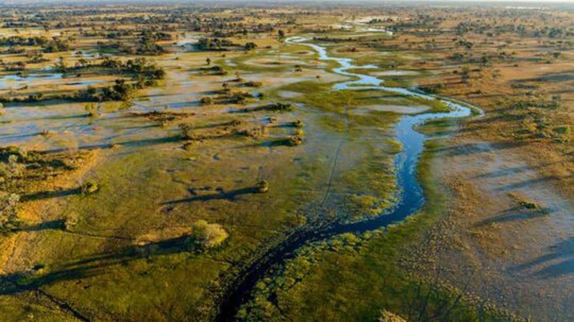 Helicopter tour over Okavango Delta: What to know