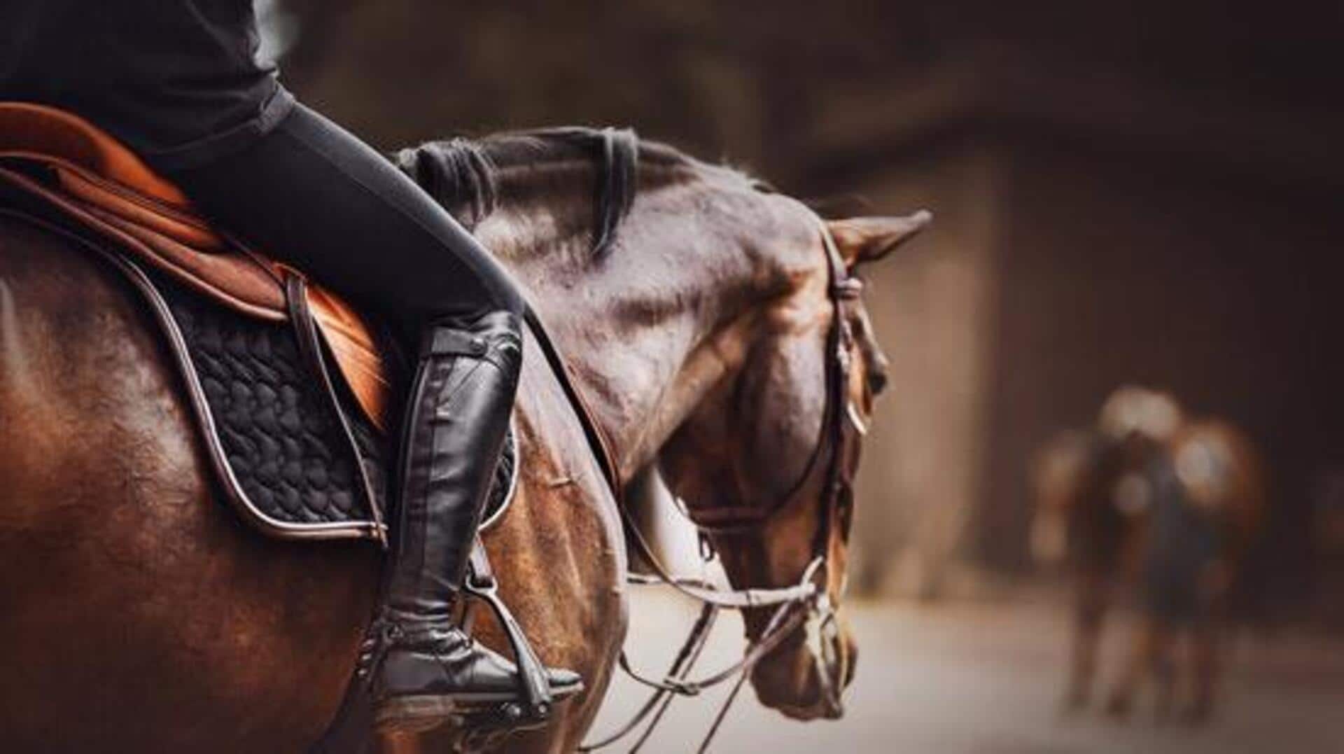 Horseback riding in Lesotho: What to know Horseback riding in Lesotho: What to know