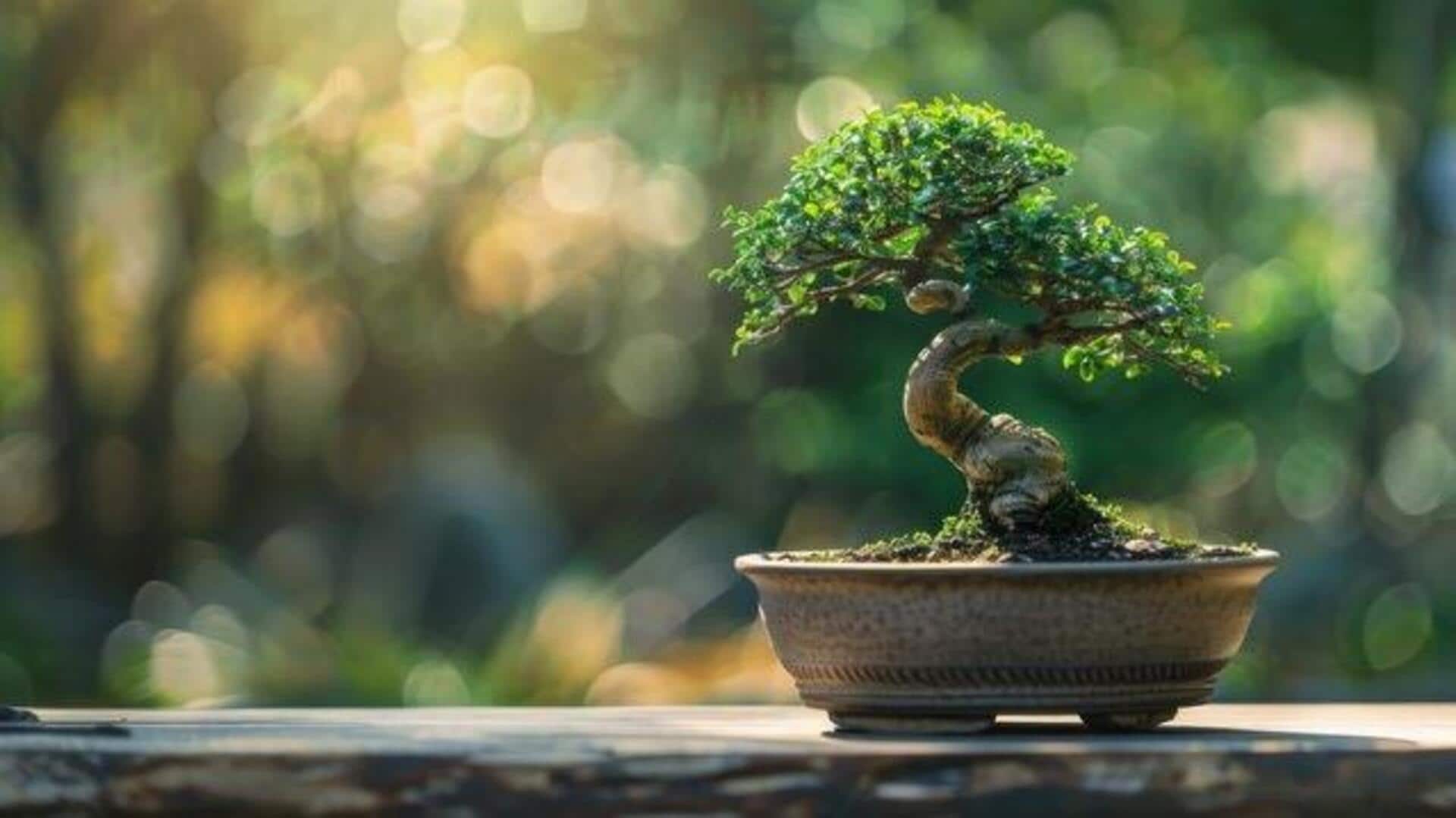 Bonsai care made easy, thanks to AI 