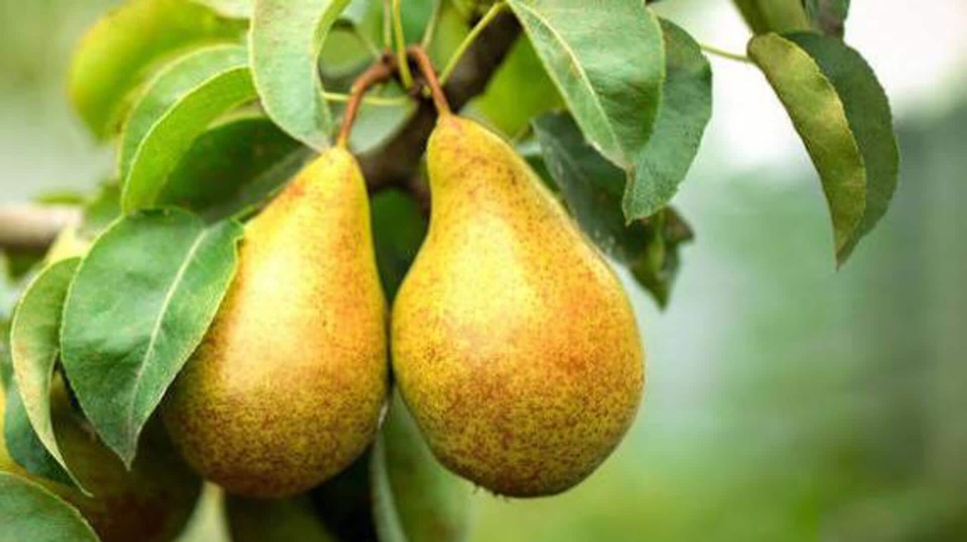 Why pears are good for healthy bones 