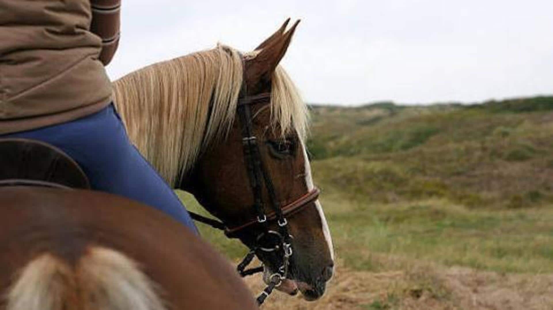 Explore Lesotho's remote highlands on a pony trek 