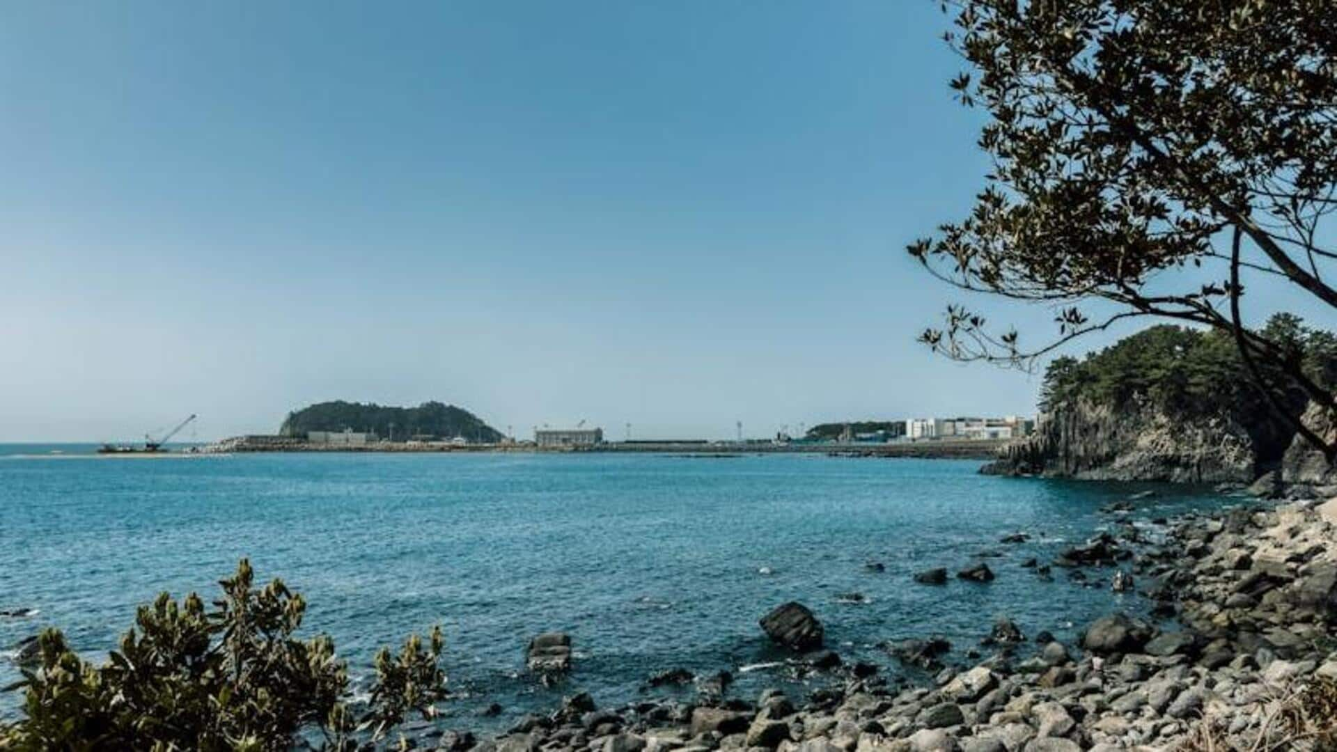 Discover serene beaches in Jeju Island