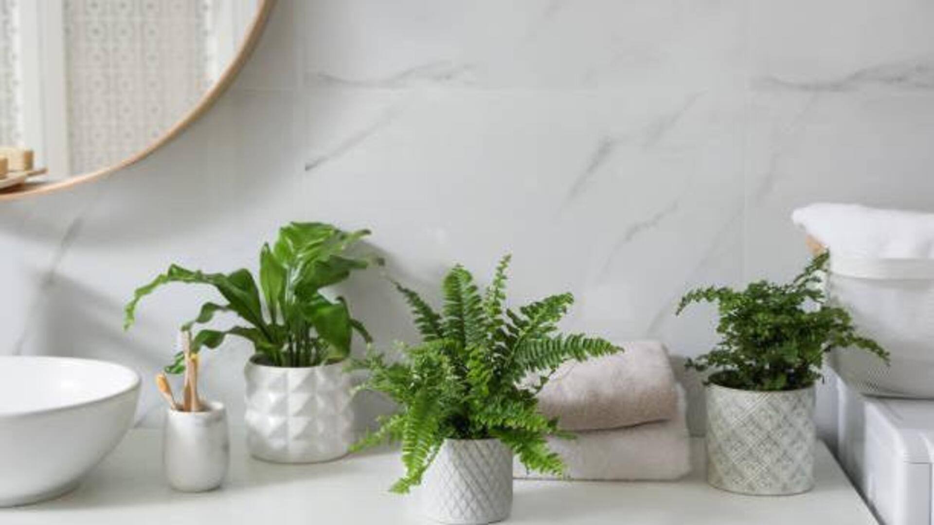 How to create a plant-friendly bathroom