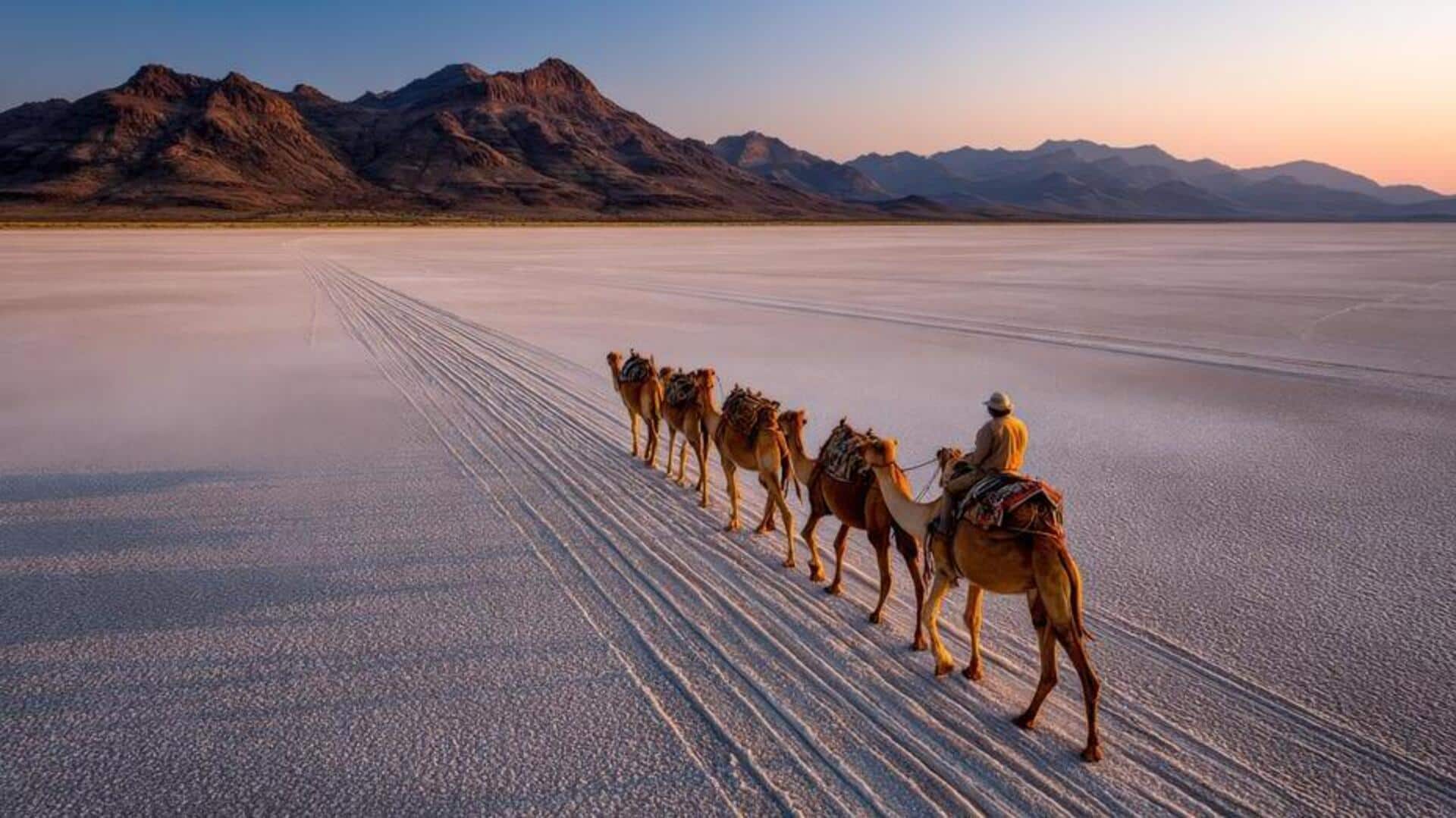 Explore Africa's vast salt flats on a camel caravan