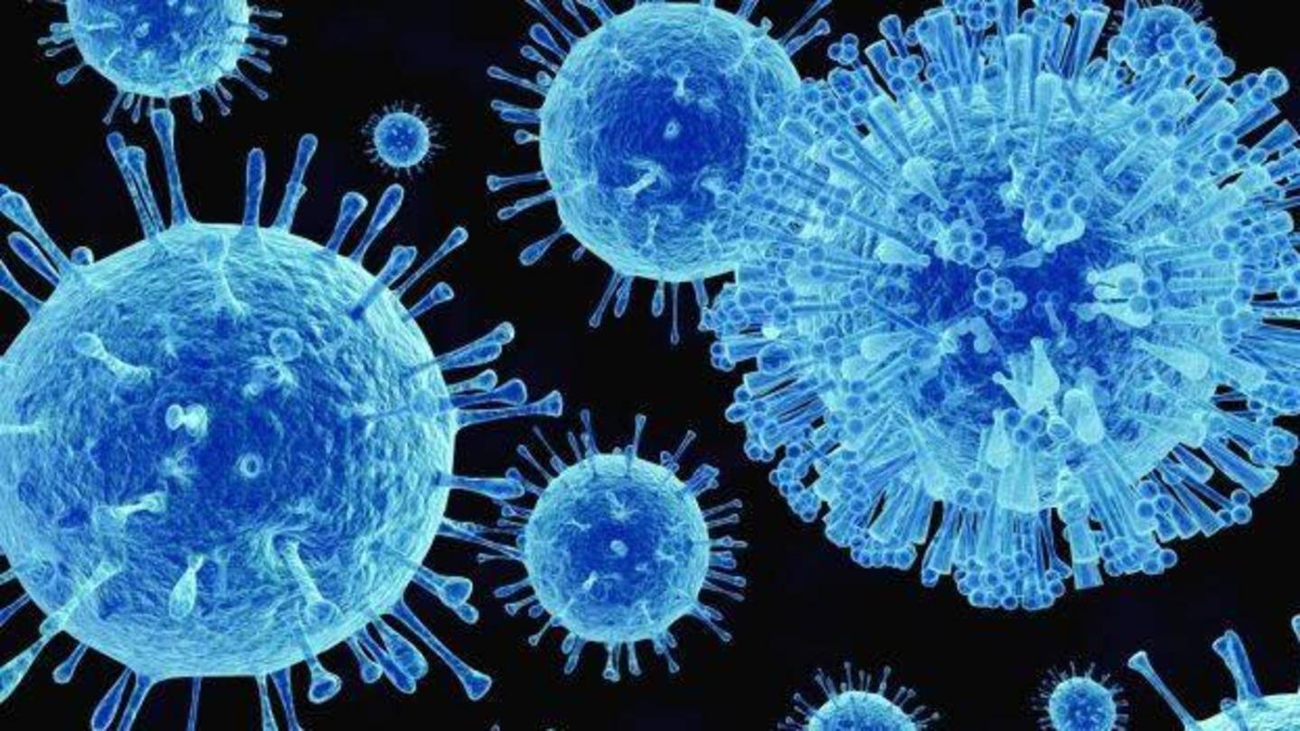 How to prevent the norovirus? How to prevent the norovirus?