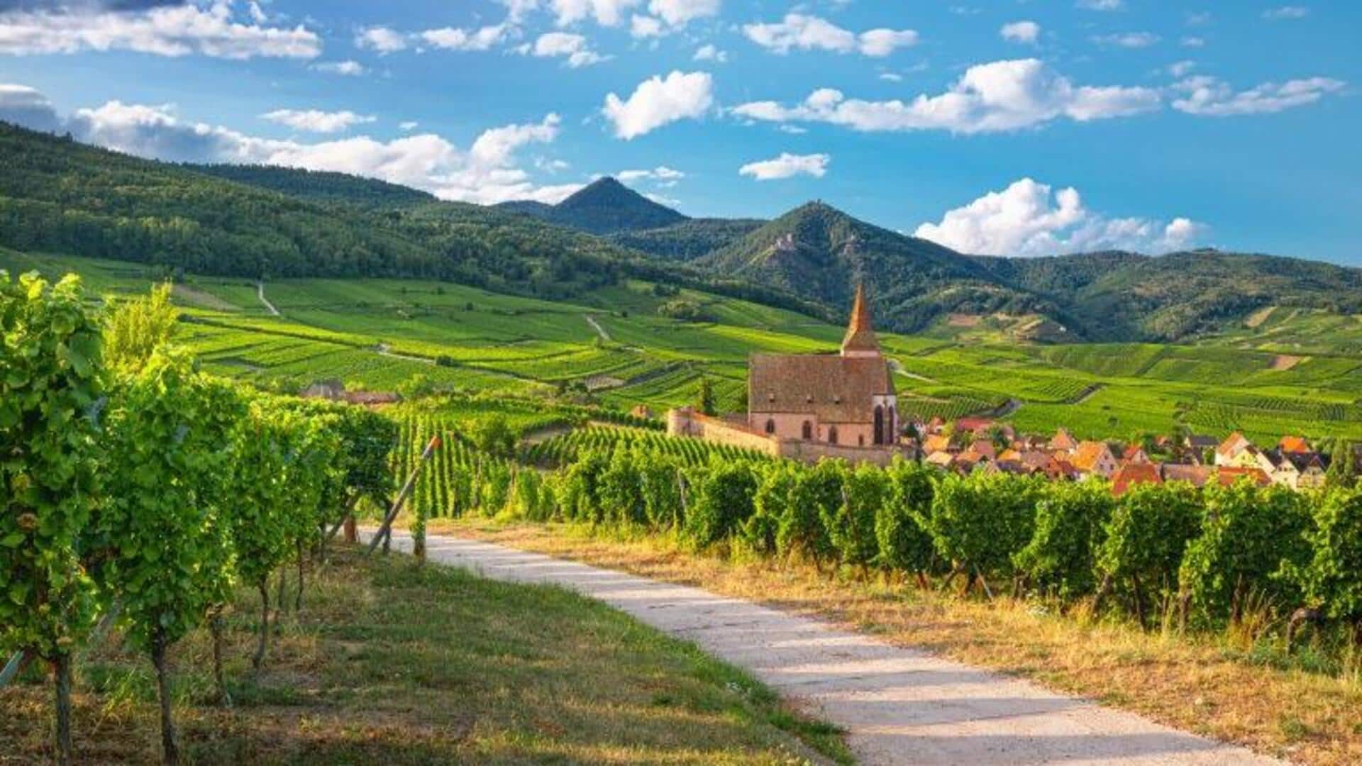 Cycling through Alsace: Peaceful villages to explore Cycling through Alsace: Peaceful villages to explore